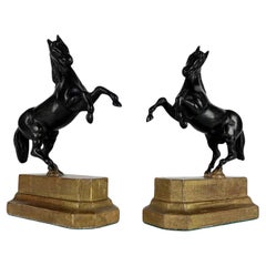 Coppia di Cavalli en bronze Inizi 1800 Sculture italienne animalière Basi Dorate 