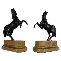 Coppia di Cavalli Inizi 1800 Sculture Italiane Animalier in Bronzo Patina Scura