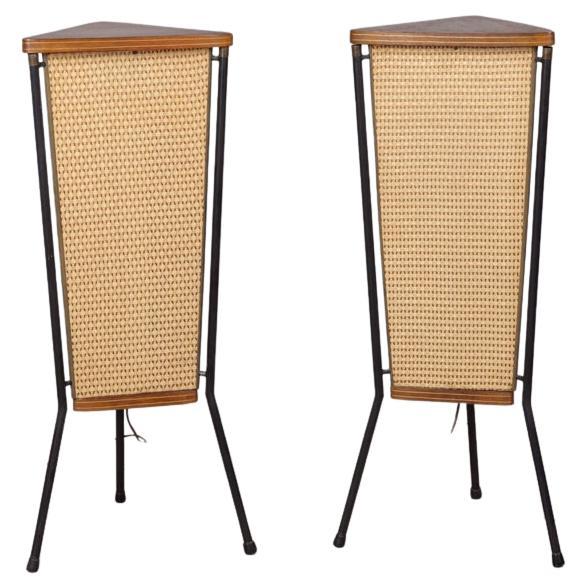 Paire d'enceintes vintage des années 60 par Schaub Lorenz