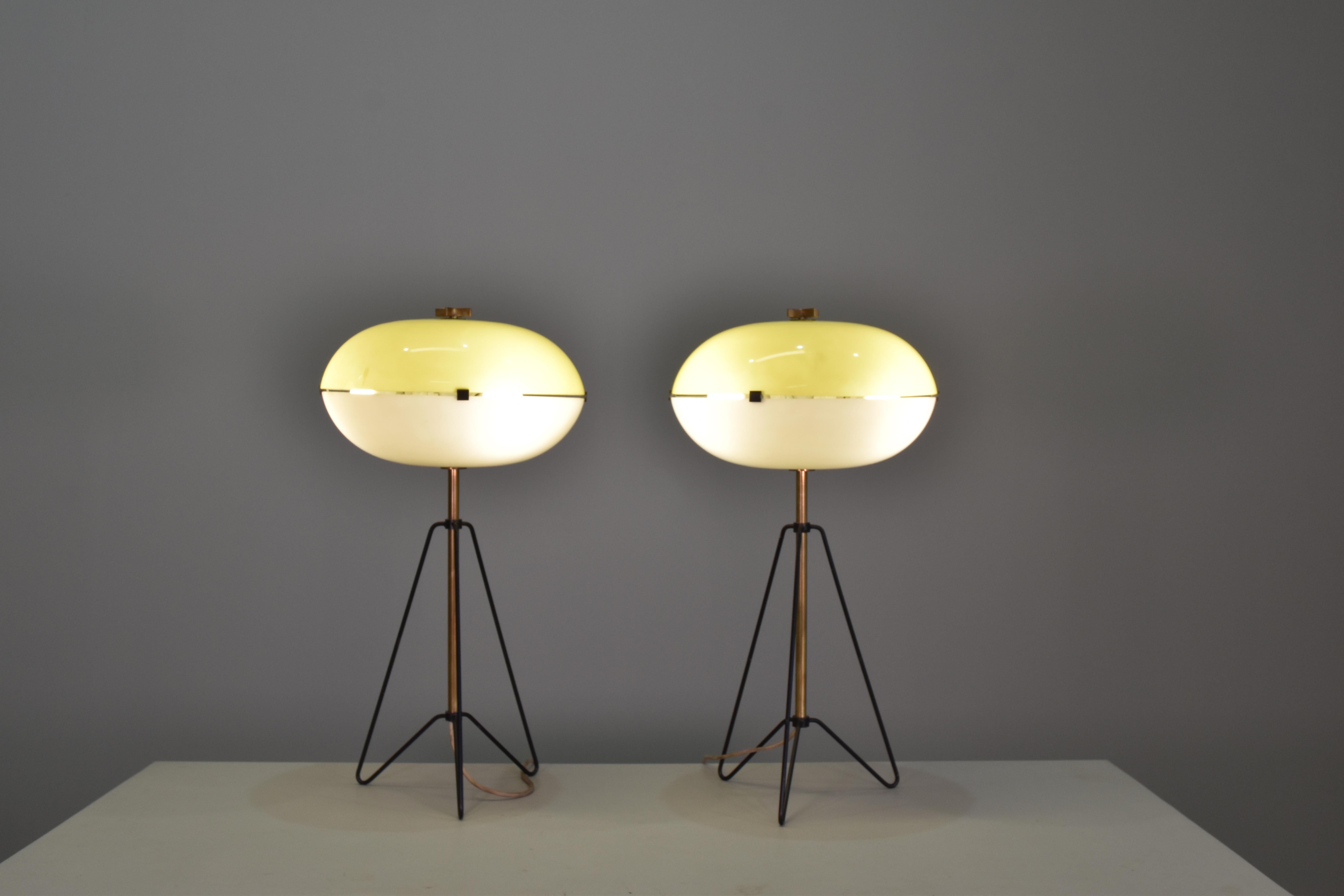Mid-Century Modern Pair of Large Brass and Methacrylate Lamps Italy 1955 Published For Sale