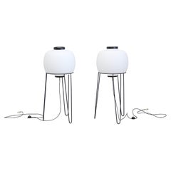 Floor Lamps