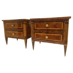 Pair of Louis XVI model chests of drawers