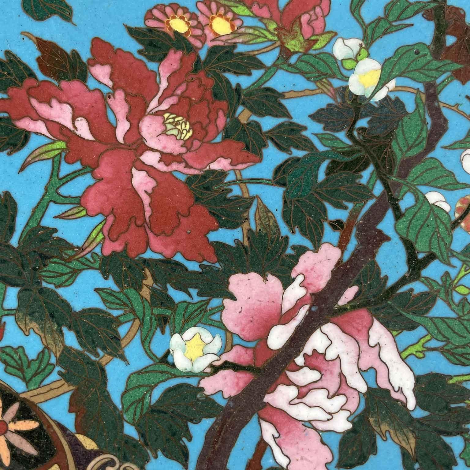 Pair Of Japanese Cloisonne Plates Flowers On Turquoise Background Meiji Period For Sale 5