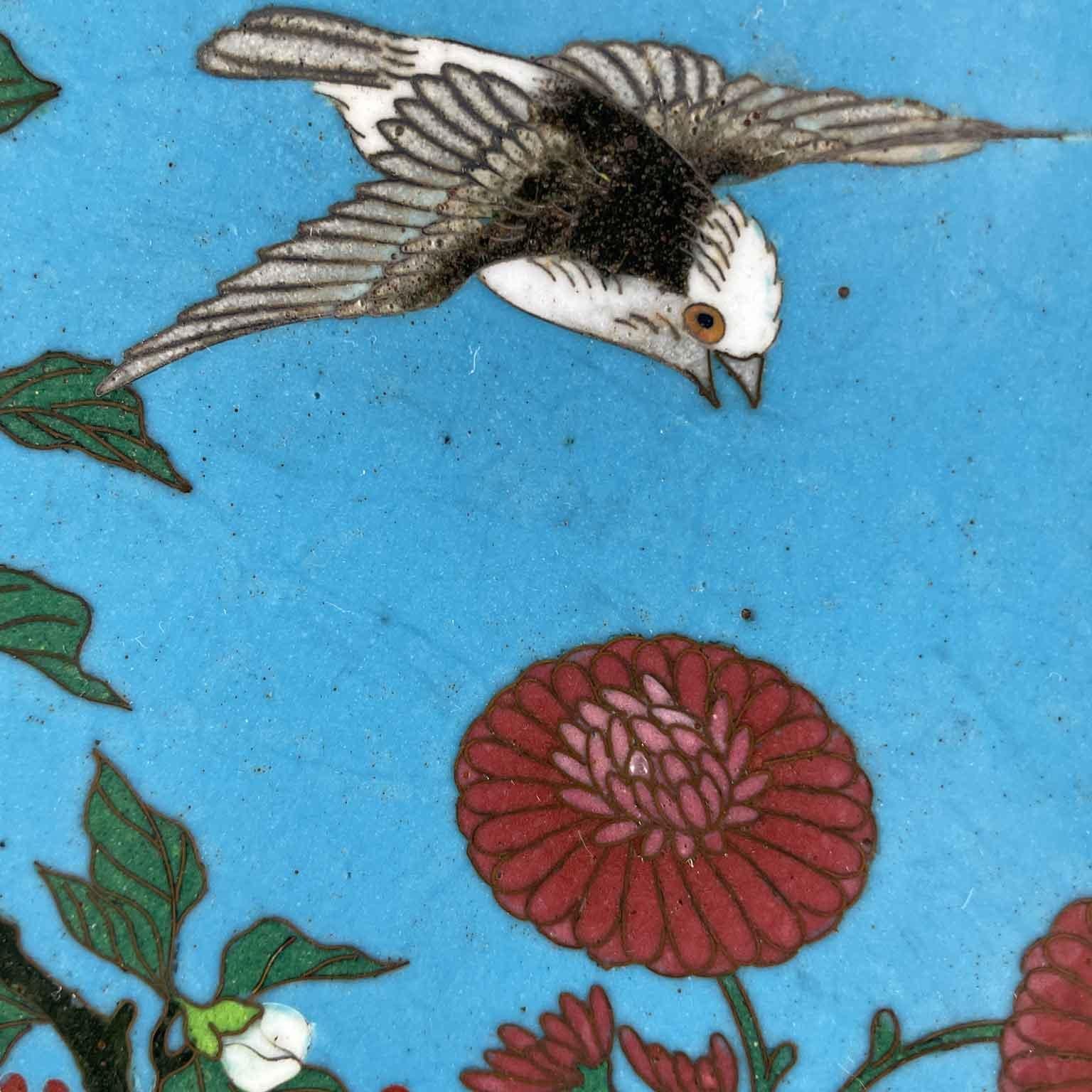 Pair Of Japanese Cloisonne Plates Flowers On Turquoise Background Meiji Period For Sale 6