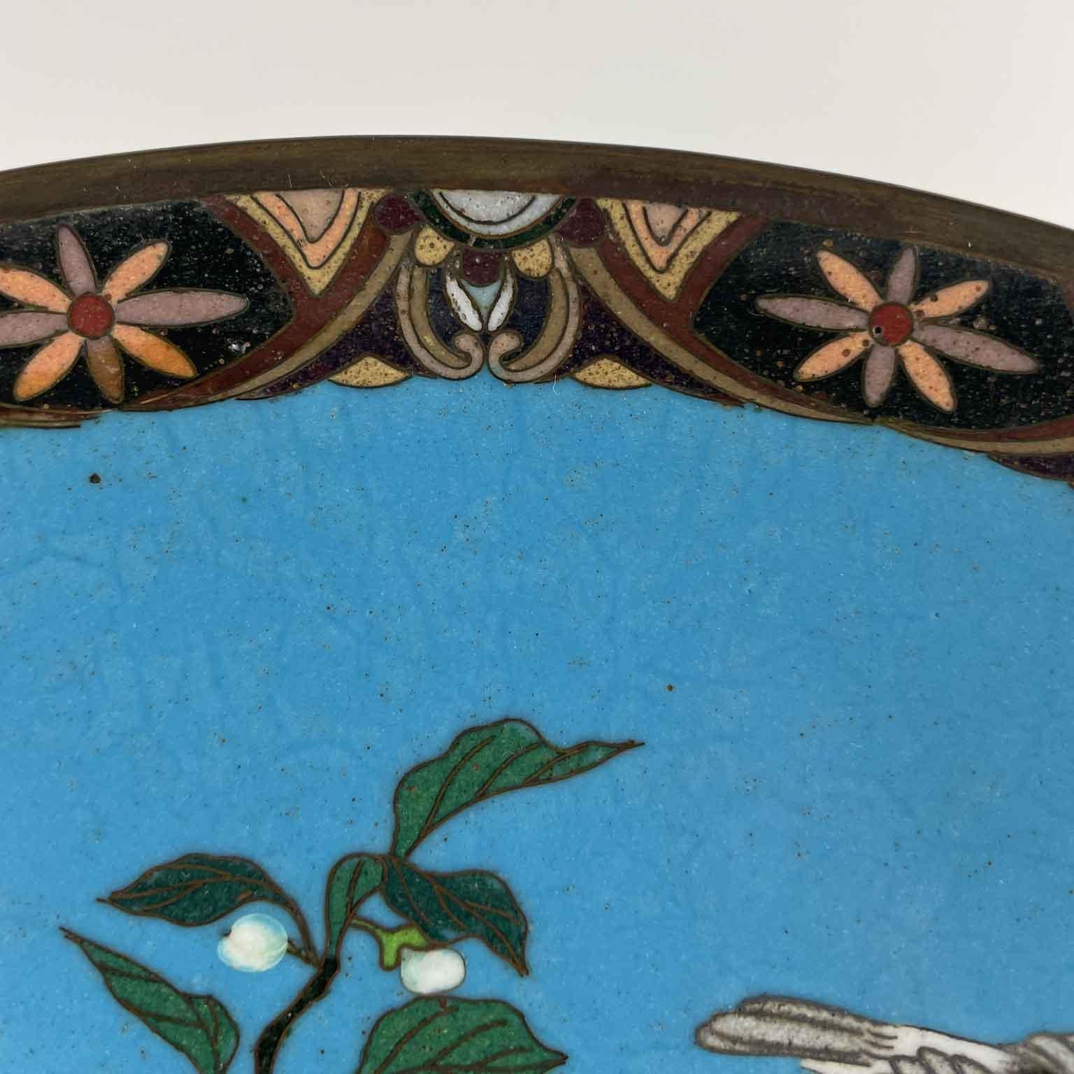 Pair Of Japanese Cloisonne Plates Flowers On Turquoise Background Meiji Period For Sale 9