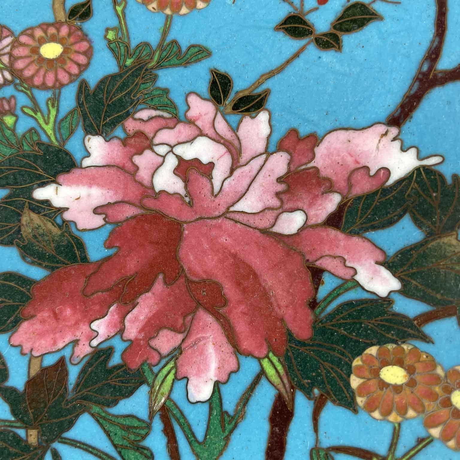 Cloissoné Pair Of Japanese Cloisonne Plates Flowers On Turquoise Background Meiji Period For Sale