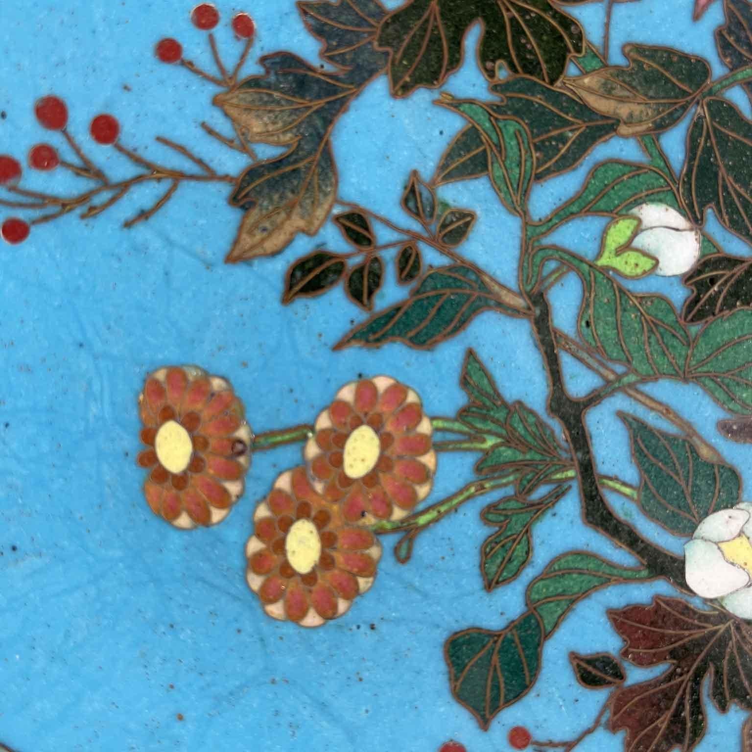 19th Century Pair Of Japanese Cloisonne Plates Flowers On Turquoise Background Meiji Period For Sale