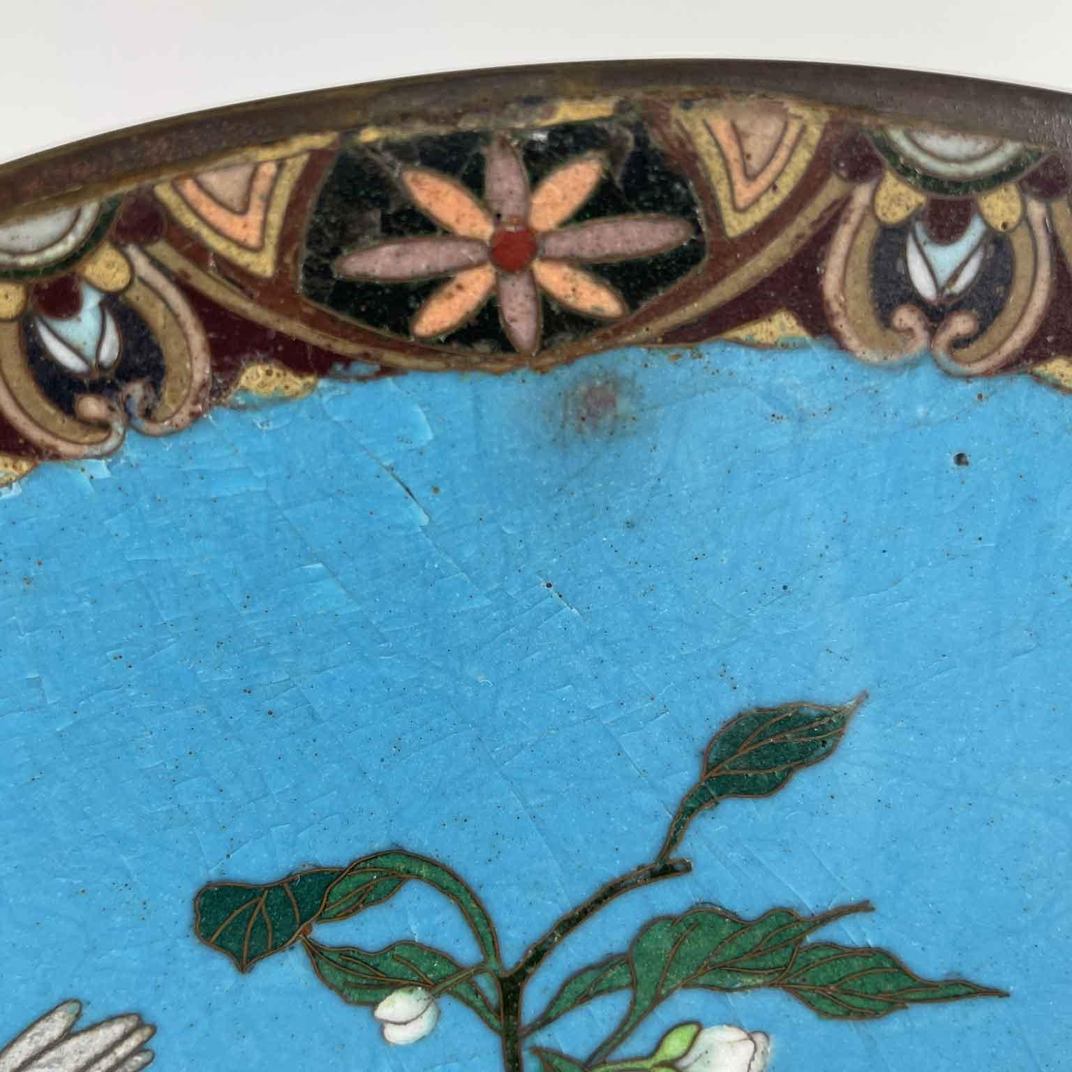 Pair Of Japanese Cloisonne Plates Flowers On Turquoise Background Meiji Period For Sale 2