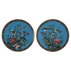 Paar japanische Cloisonné-Teller Blumen auf türkisfarbenem Grund Meiji-Zeit