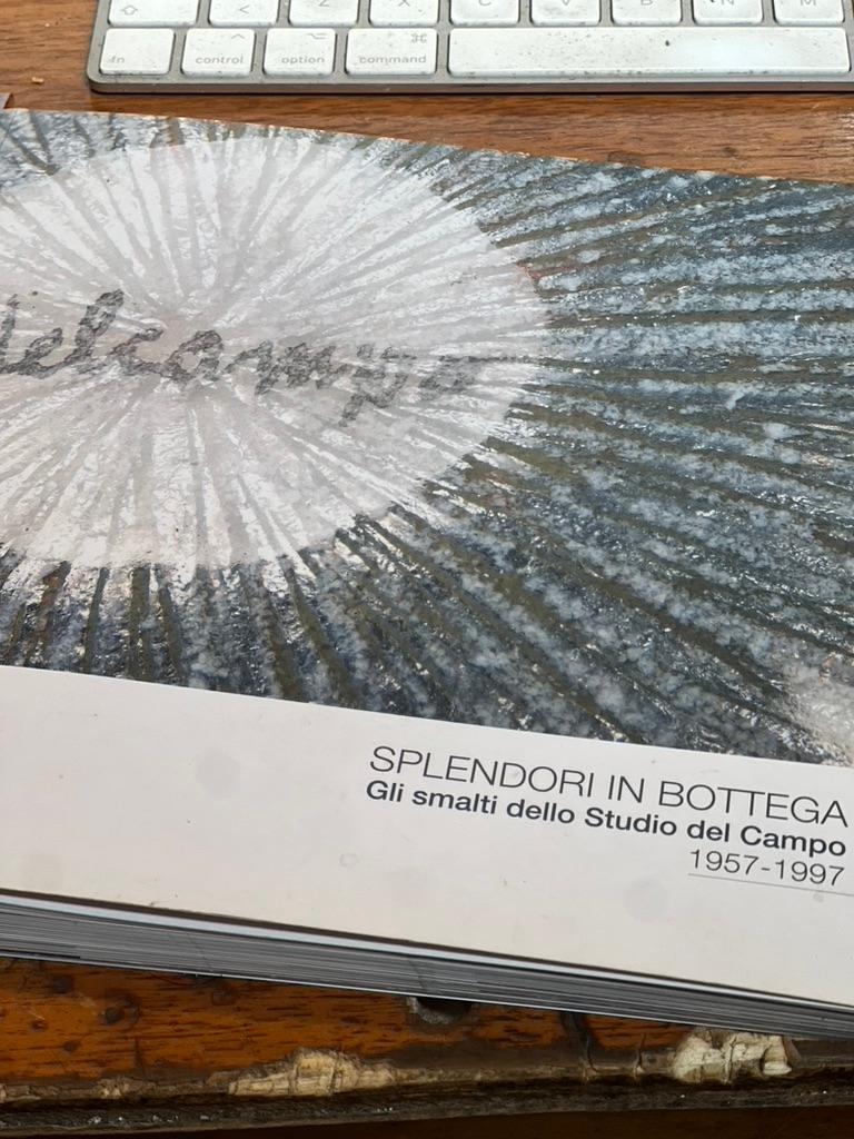 Coppia di Piatti Smaltati - Studio del Campo Torino - Italia - Anni '60 in vendita 4