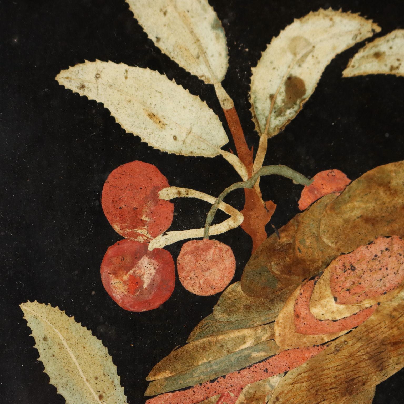 Coppia di Placche in Scagliola Raffiguranti Pappagalli Firenze XVII Secolo 4