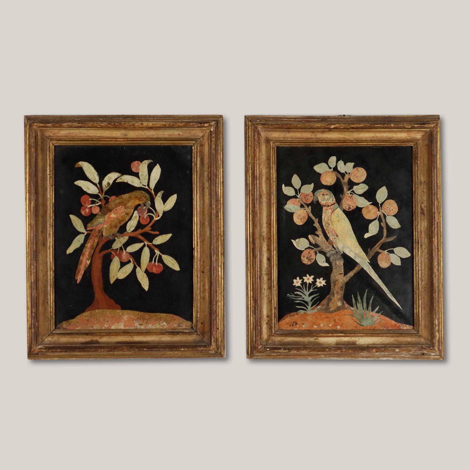 Coppia di Placche in Scagliola Raffiguranti Pappagalli Firenze XVII Secolo 9
