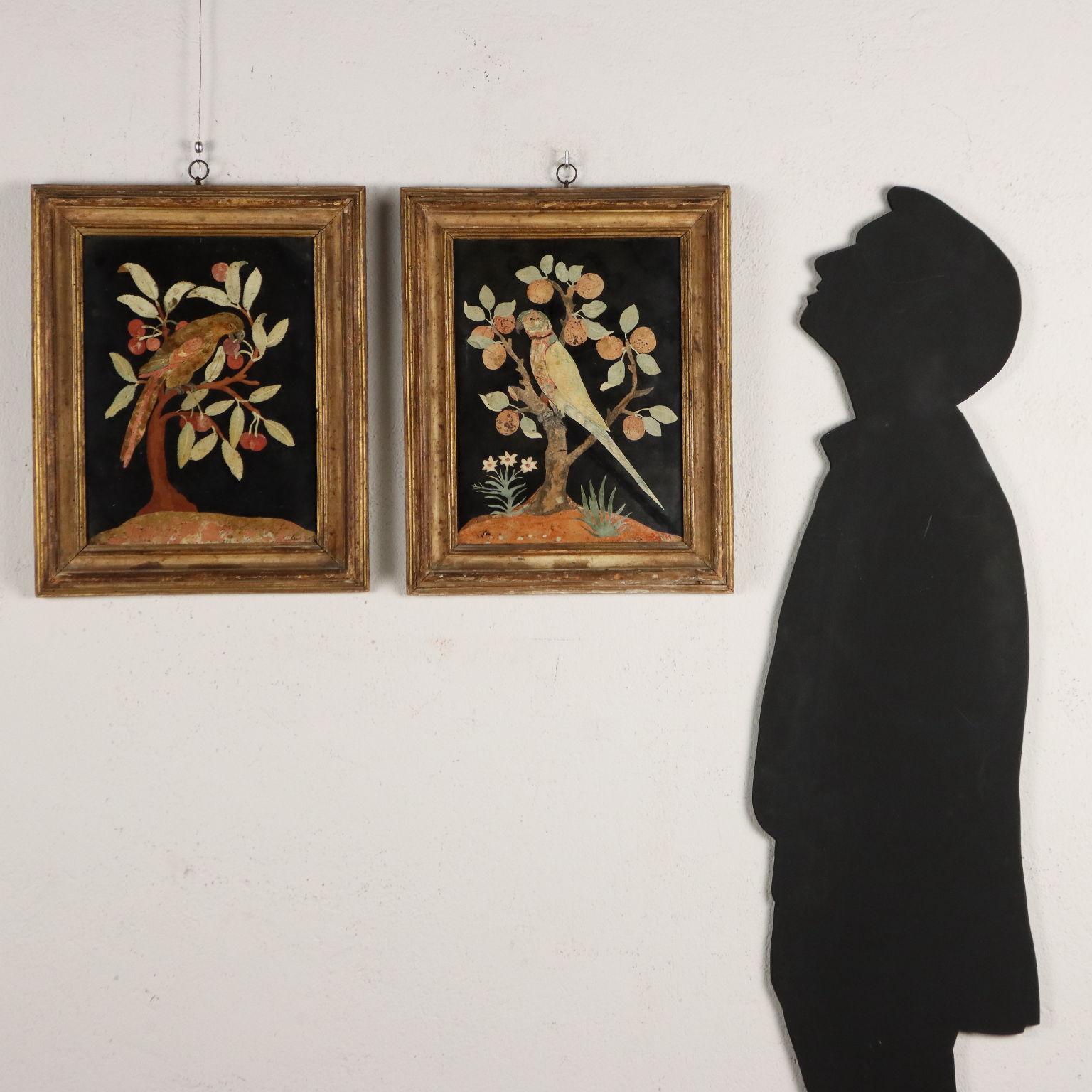 Coppia di placche in scagliola policroma di manifattura fiorentina del XVII secolo, raffiguranti pappagalli appollaiati sopra rami di foglie e frutti poggianti su una porzione di suolo, una delle quali arricchita da piantine con fiori. Un pappagallo
