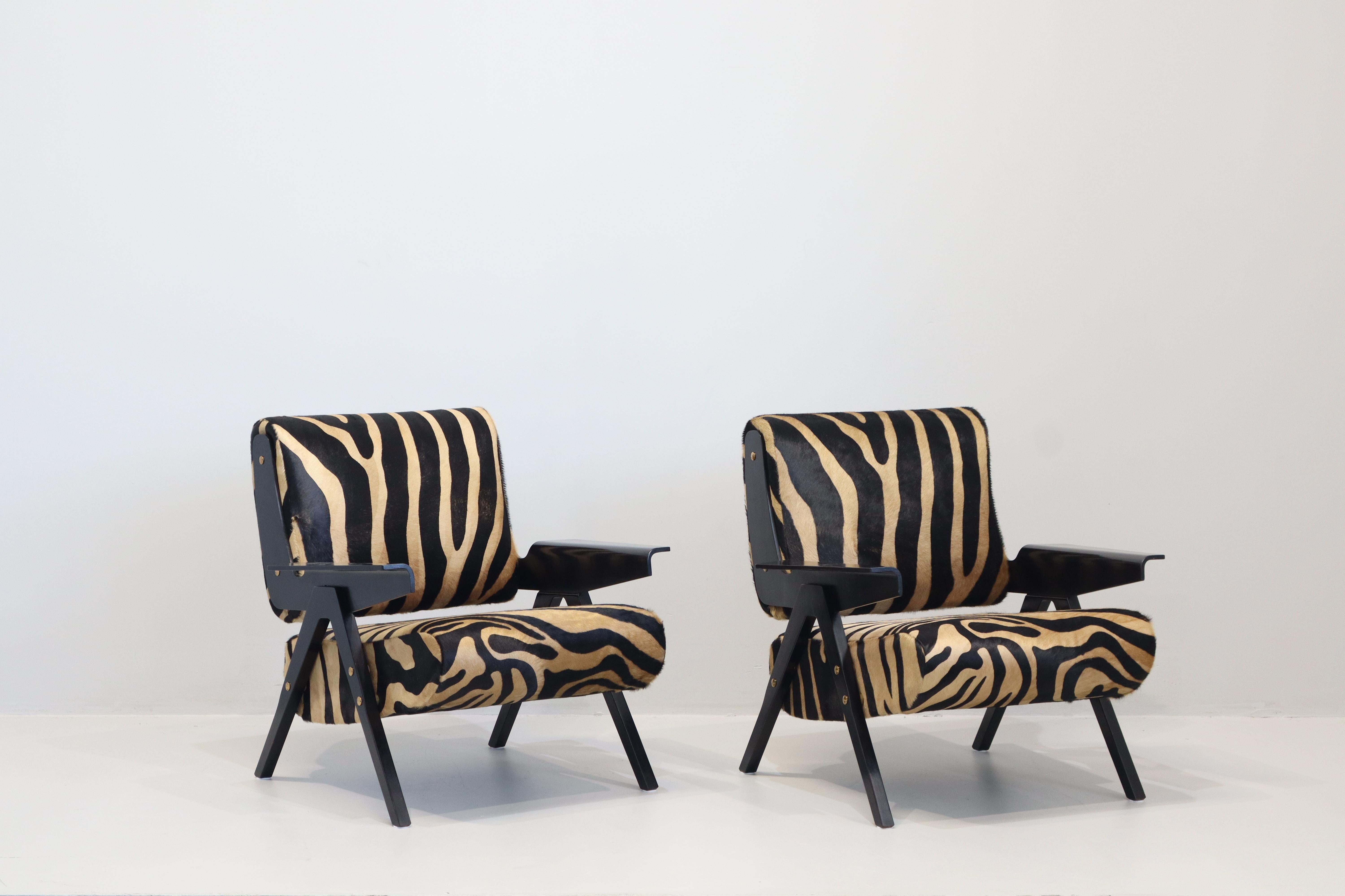 Mid-Century moderno Coppia di Poltrone Gianfranco Frattini Modello 831 per Cassina, '50 in Cavallino in vendita