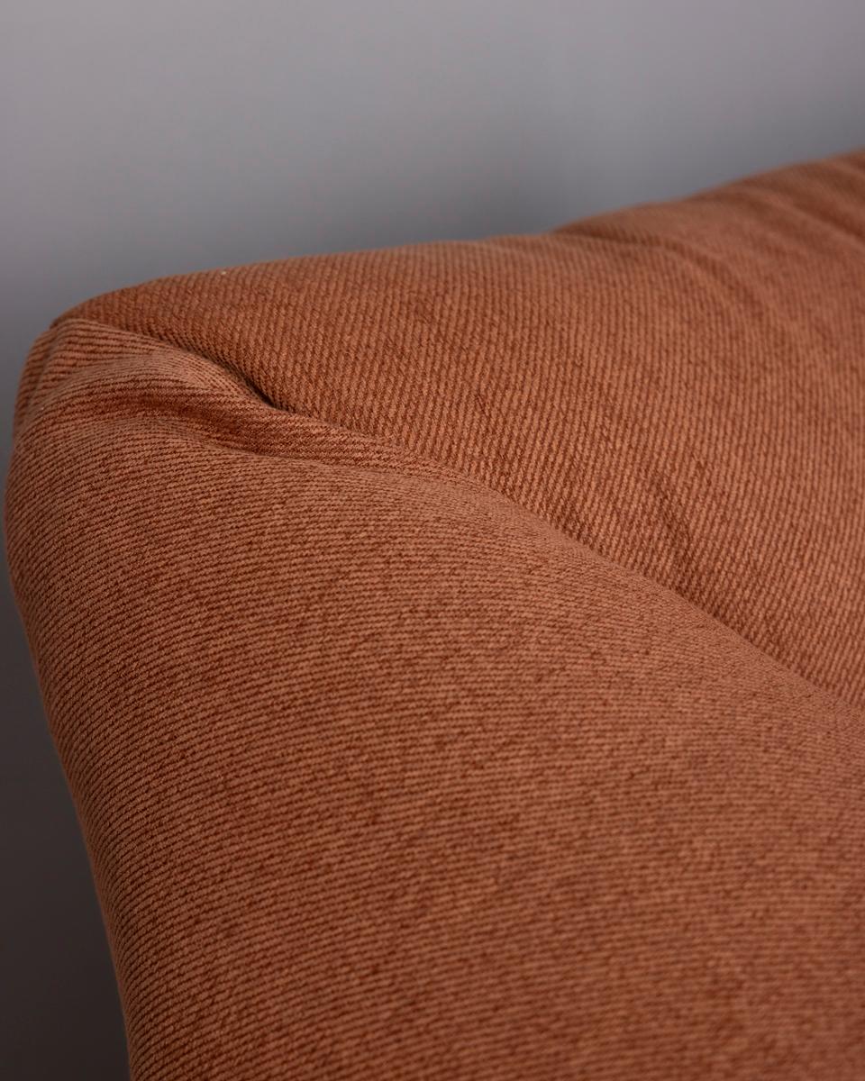 Mid-Century Modern Coppia di poltrone vintage anni 70 