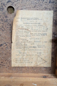 Pareja de sillones de roble checoslovaco de los años 70 con tela en relieve