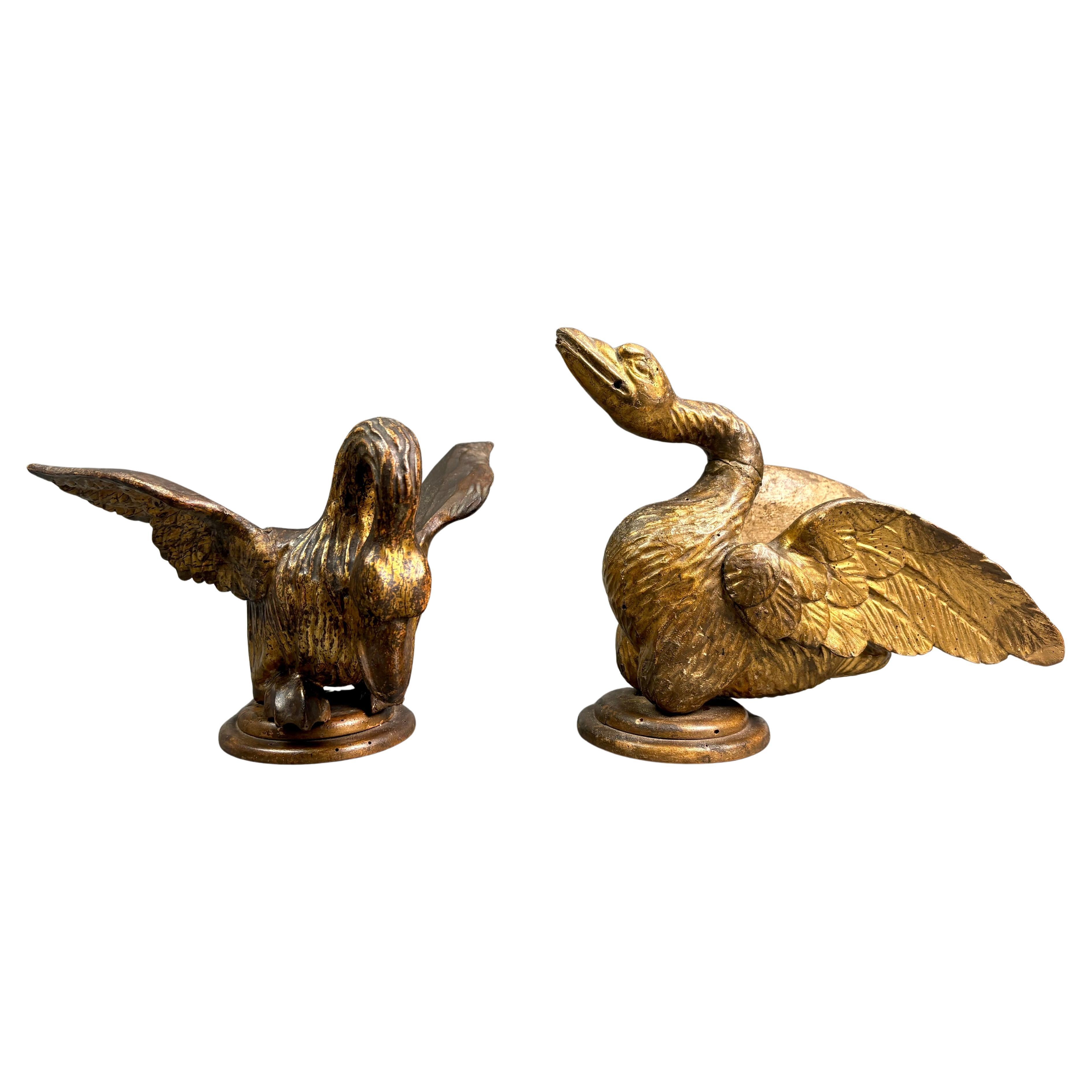 Coppia di Sculture Luigi XVI Legno Dorato Cigni Italia XVIII secolo in vendita