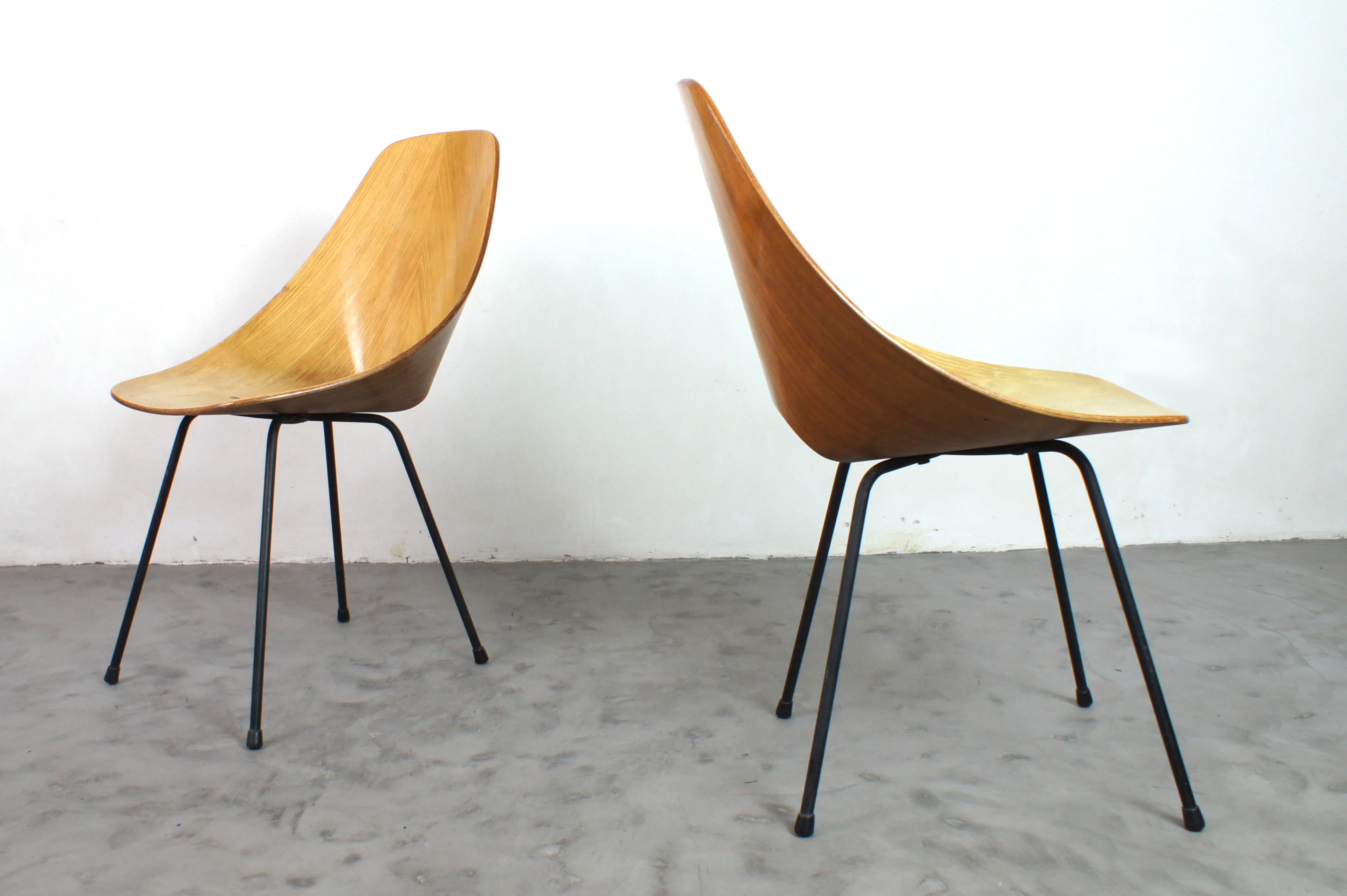 Mid-Century Modern Pair of 'medea' chairs by vittorio nobili for tagliabue brothers italy 1950s For Sale