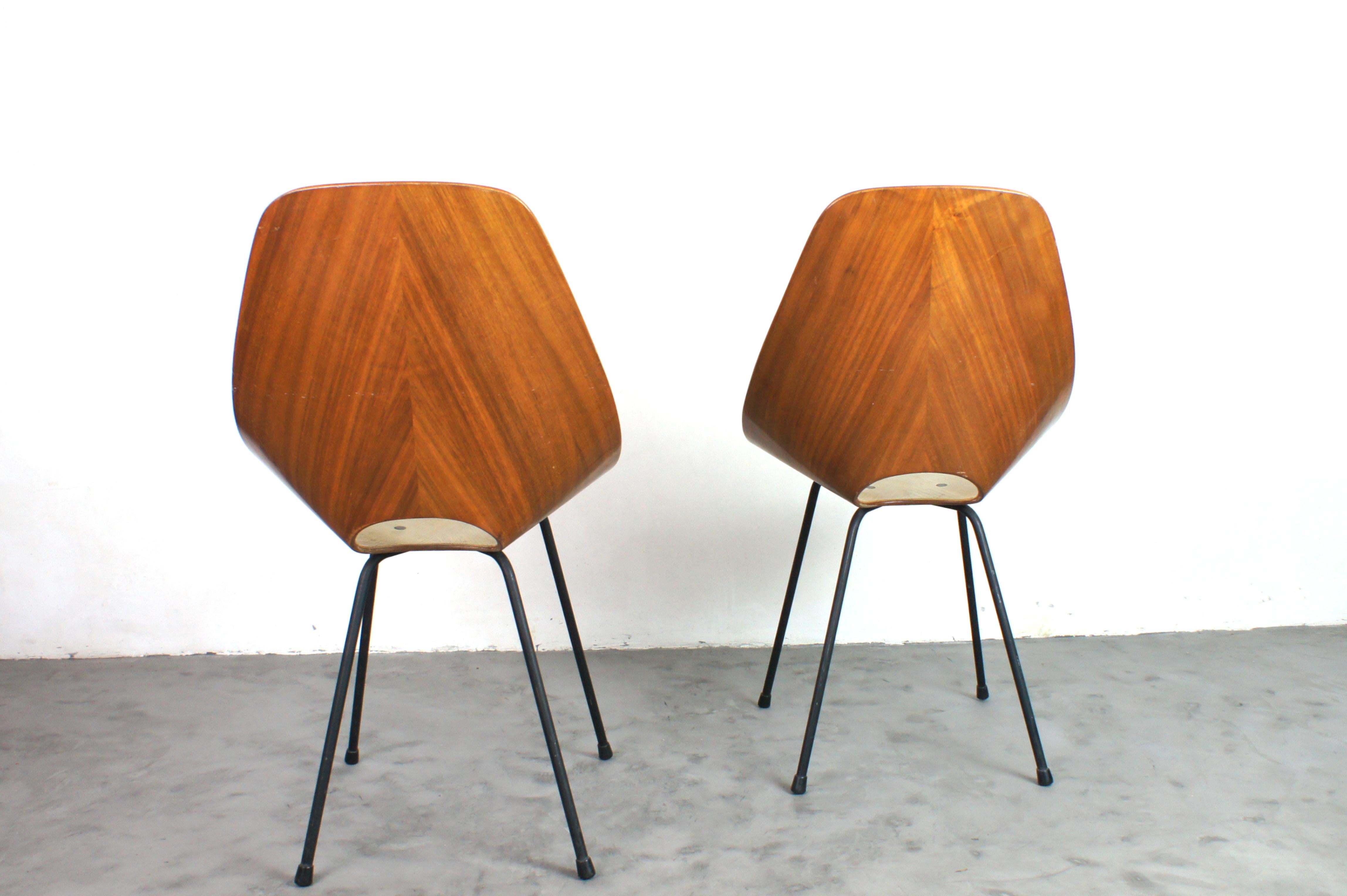 Italian Pair of 'medea' chairs by vittorio nobili for tagliabue brothers italy 1950s For Sale