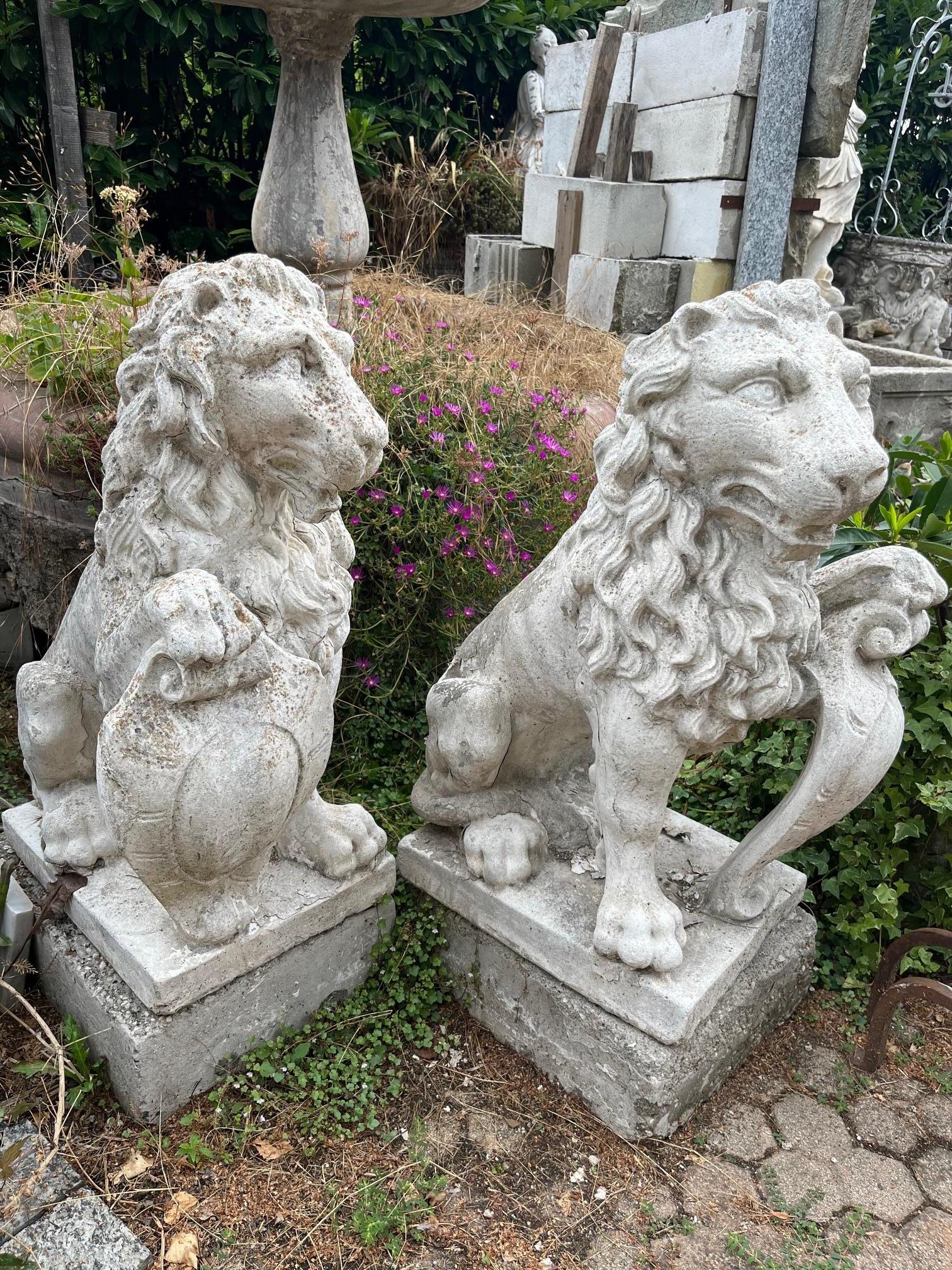 Pareja de leones artificiales de piedra antigua del siglo XIX, para entradas o como estatuas de jardín con cresta personalizable. Vendidos en coppia, los leones tienen el tallo noble, son de pasta blanca (si quieres puedes mojarlos) y son ideales