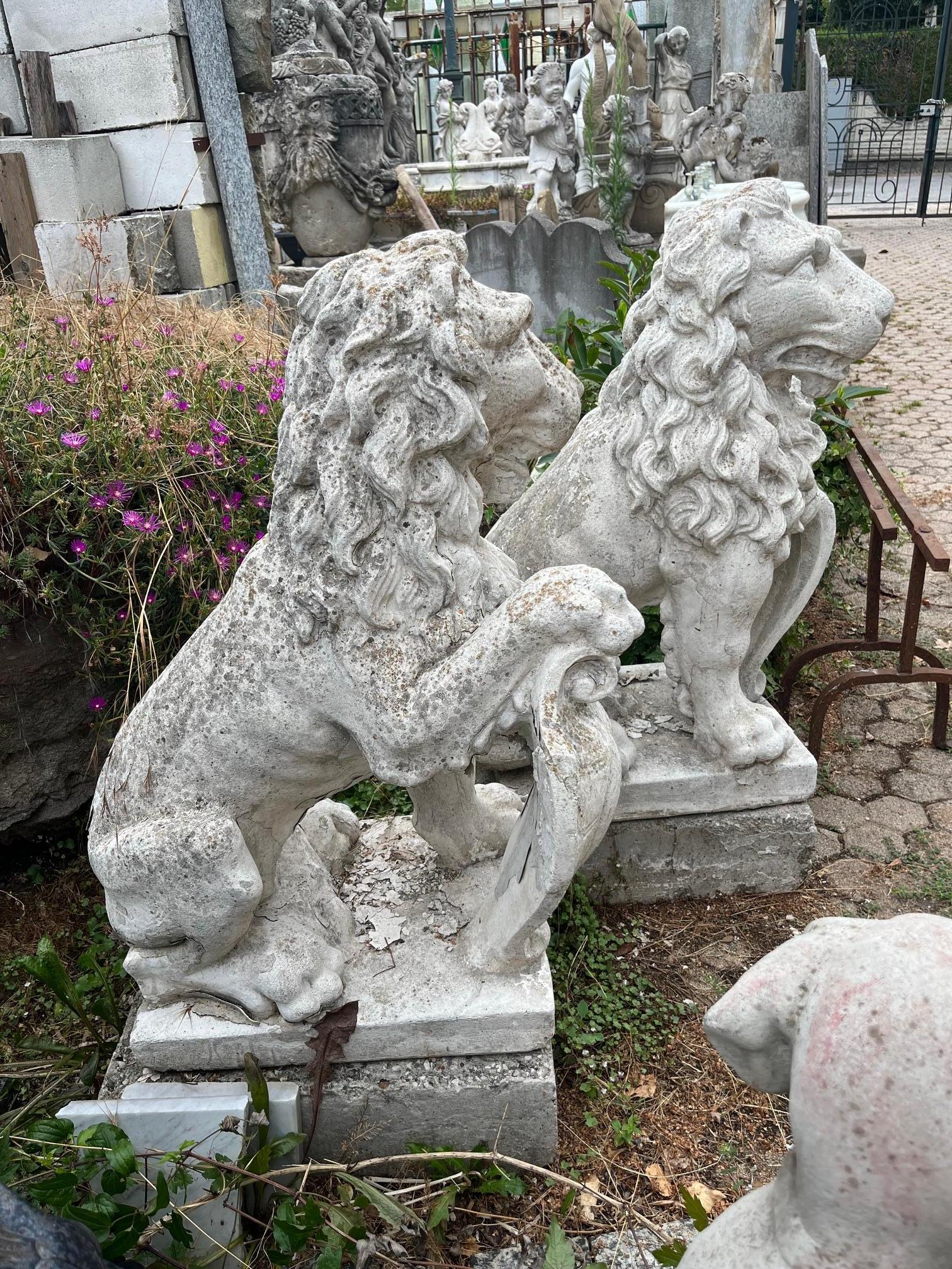 Coppia di statua di leoni con scudo, in cemento bianco, da esterno, italia Italiano en venta