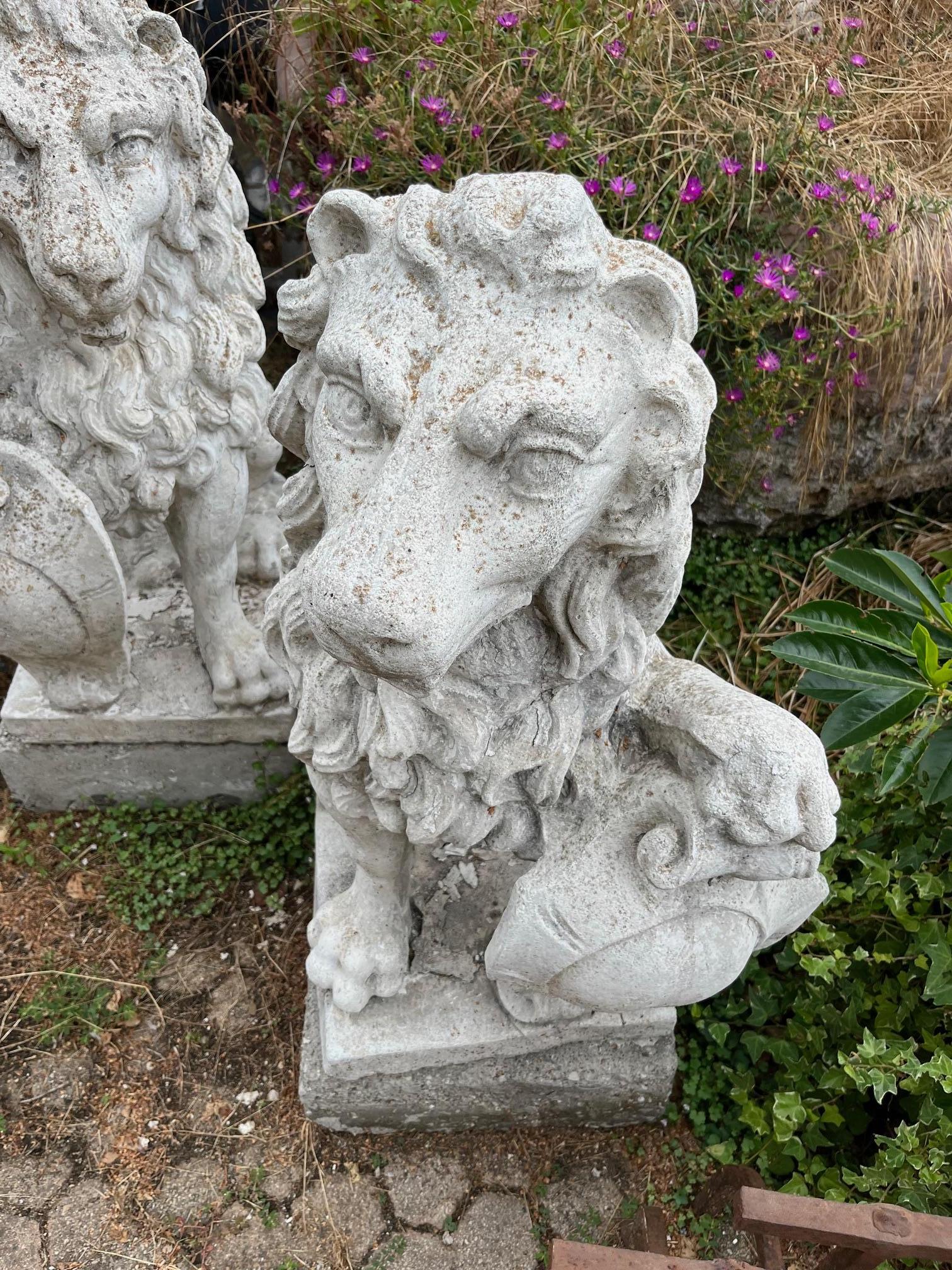 Coppia di statua di leoni con scudo, in cemento bianco, da esterno, italia en Bueno estado para la venta en Cuneo, Italy (CN)