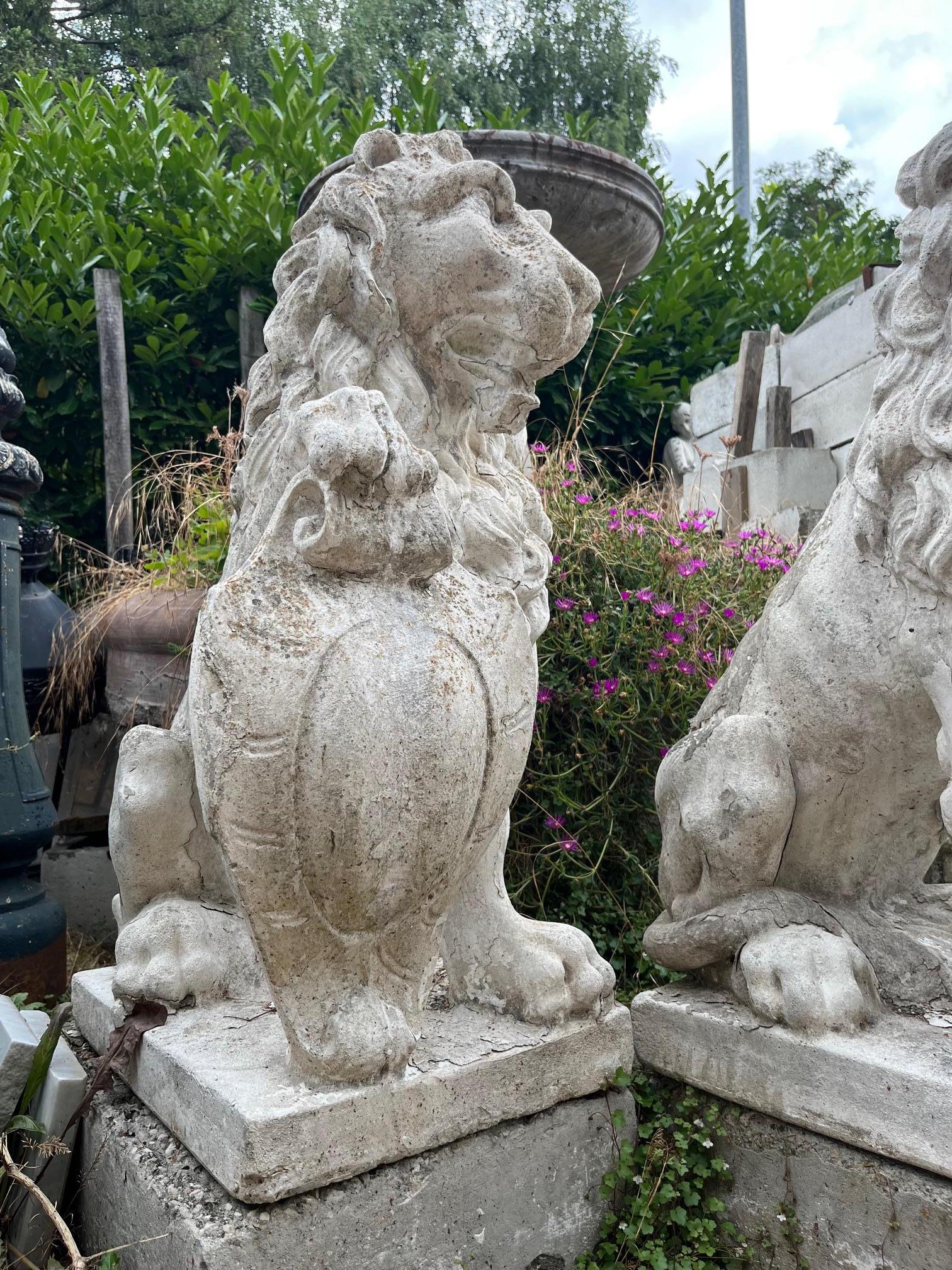 Coppia di statua di leoni con scudo, in cemento bianco, da esterno, italia siglo XIX en venta