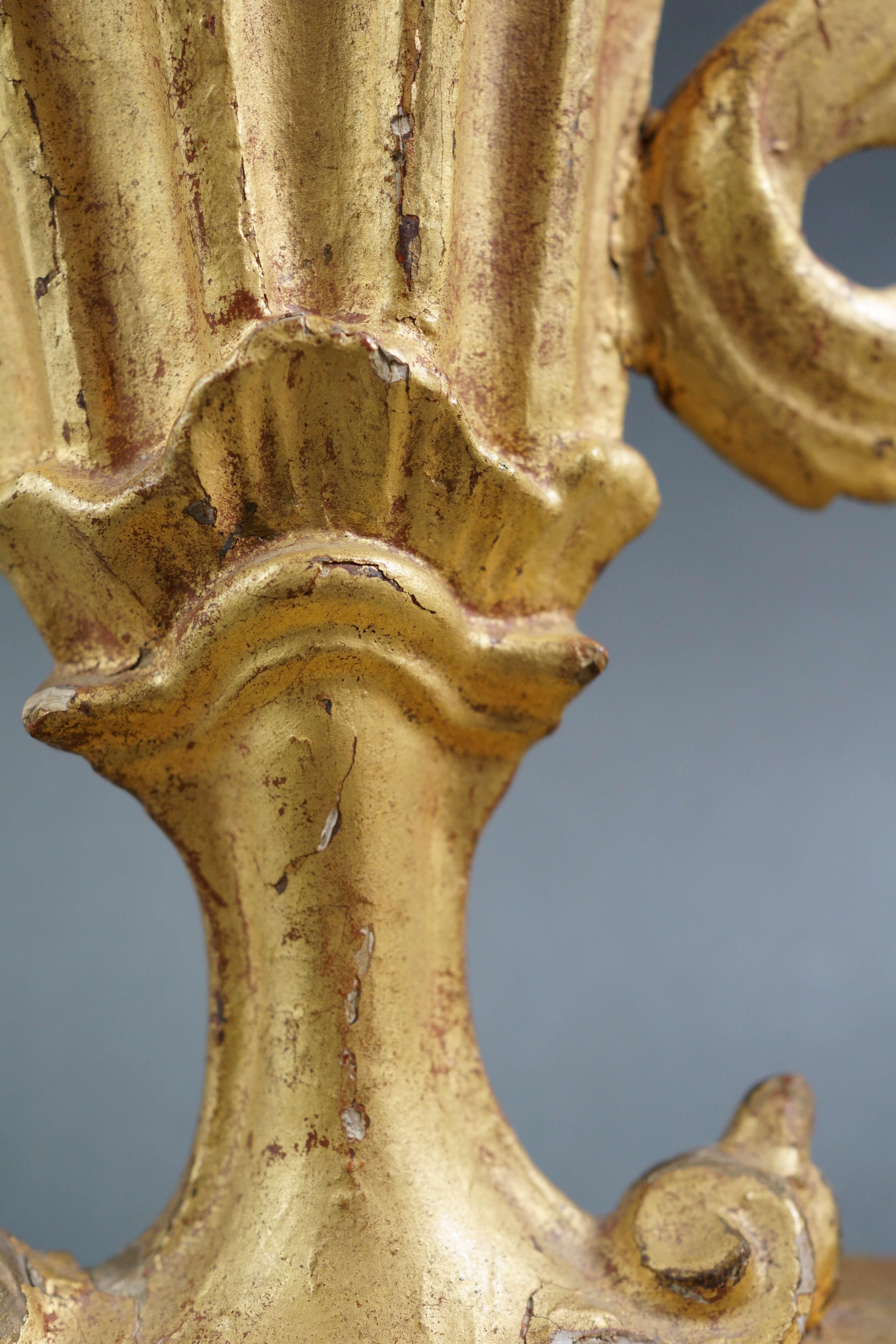 Coppia di Vasi da Altare o Porta palme in Legno Dorato Italia XVIII secolo in vendita 1