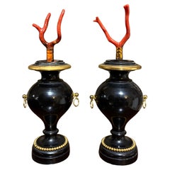 Coppia di Vasi in Legno Ebanizzato e Bronzo Dorato con Naturalia Coppia di Vasi in Legno Ebanizzato e Bronzo Dorato con Naturalia