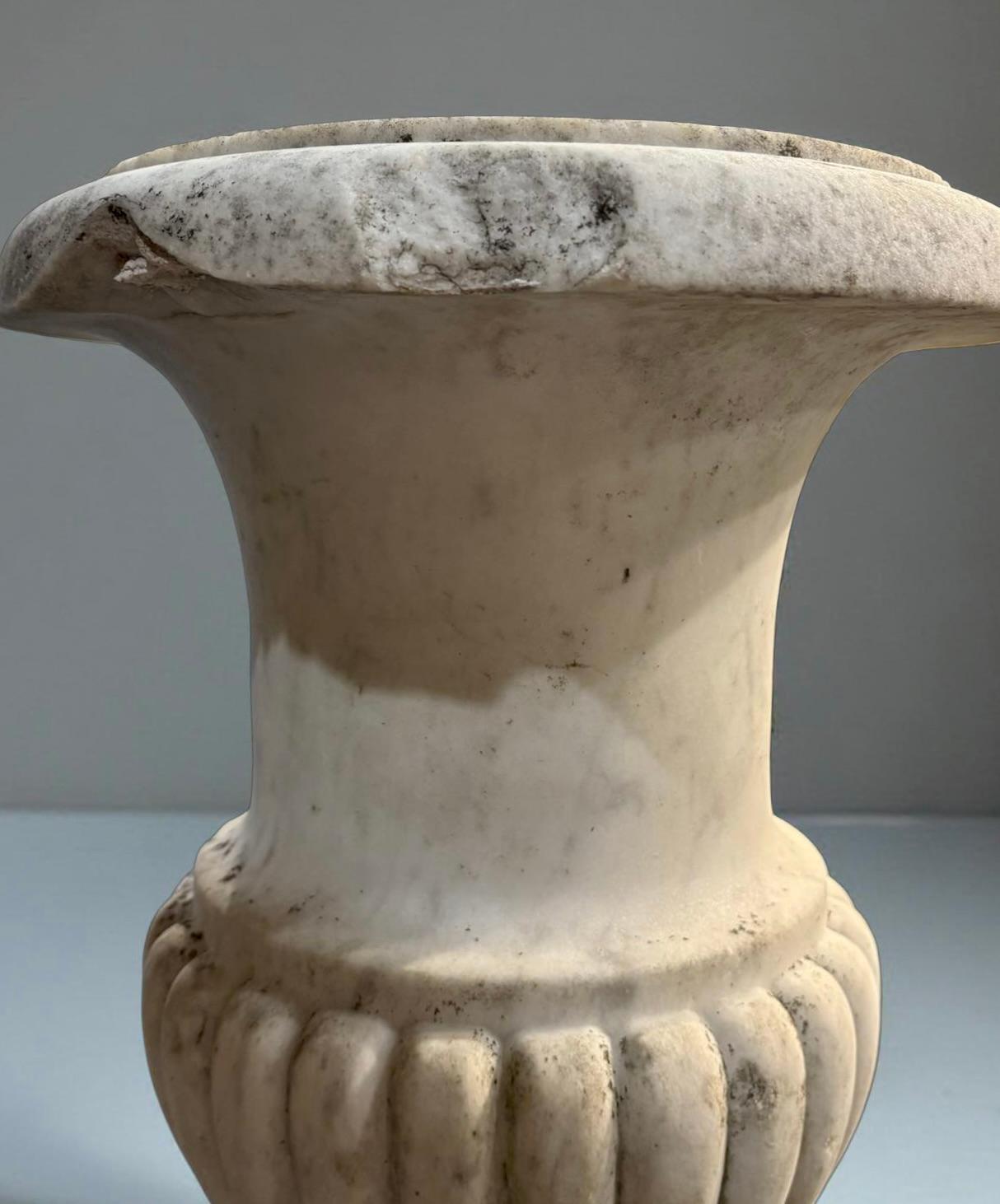 Pair of Medicean Vases in Carrara Marble 17th century period For Sale 4