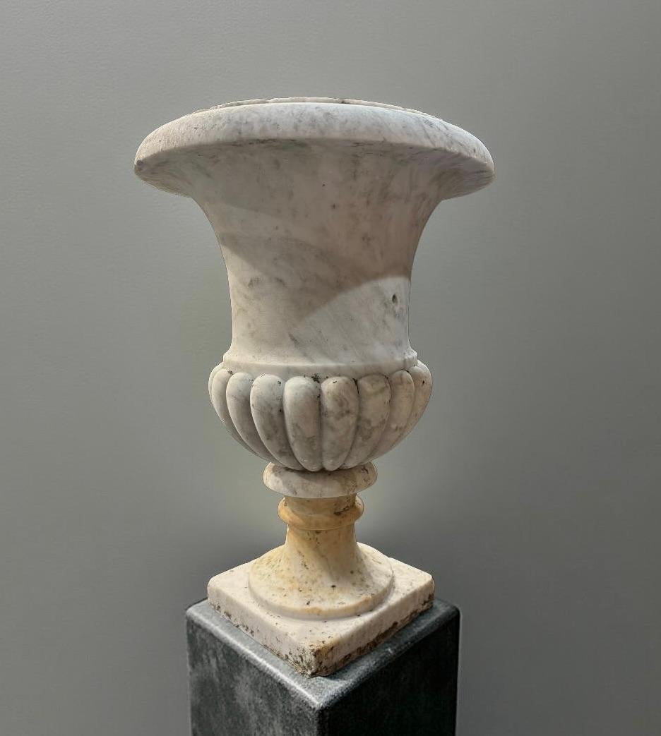 Pair of Medicean Vases in Carrara Marble 17th century period For Sale 5