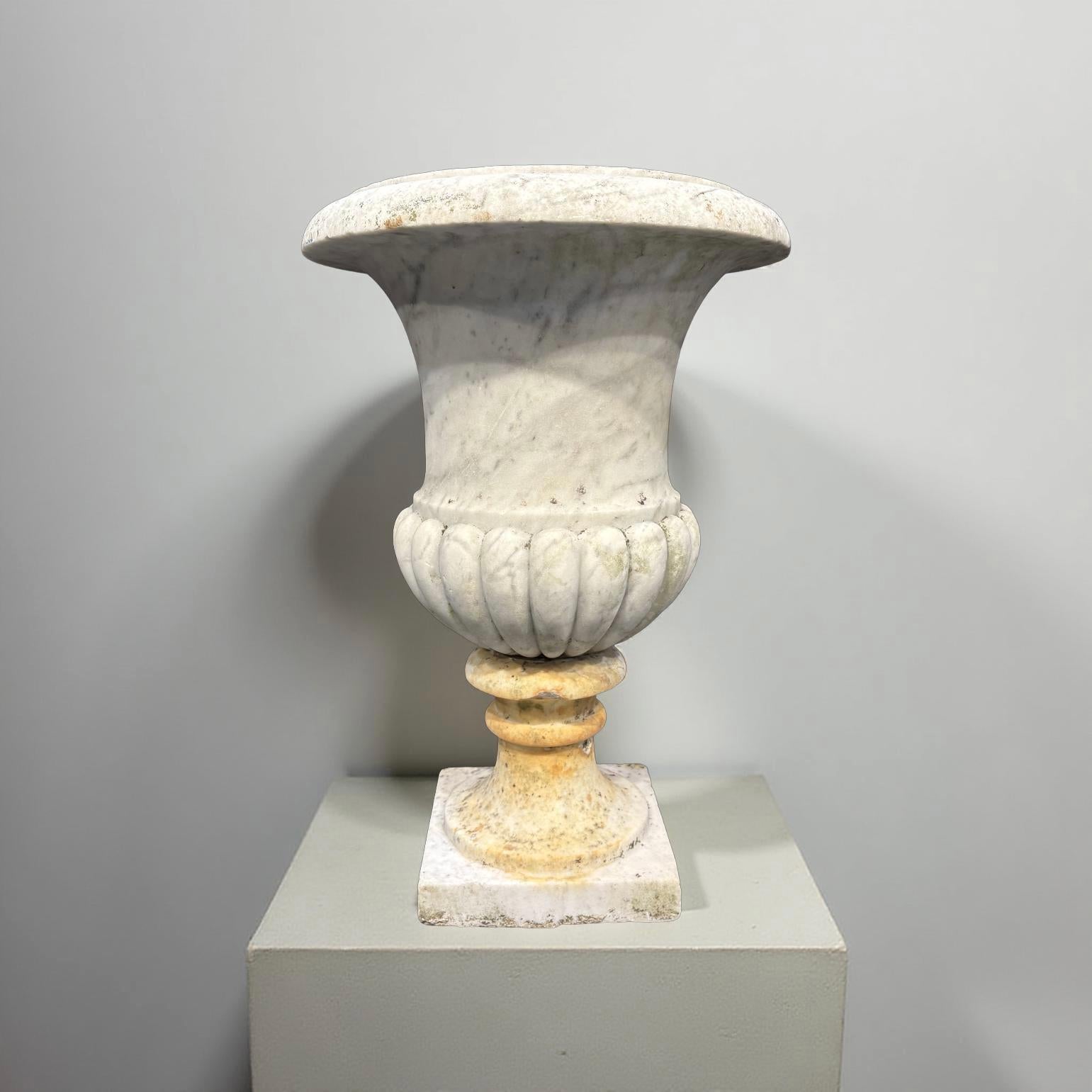 Pair of Medicean Vases in Carrara Marble 17th century period For Sale 7