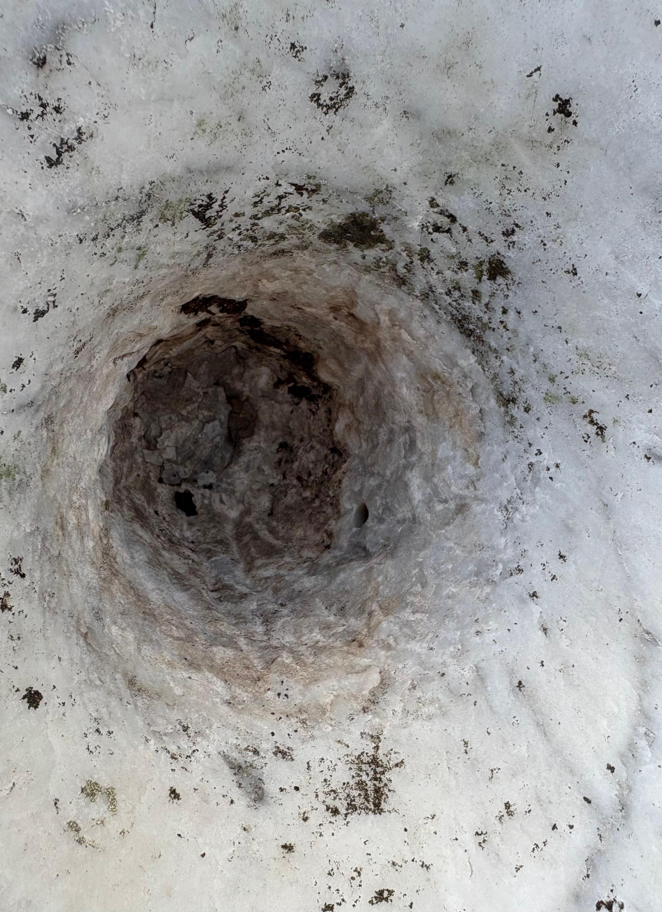 Pair of Medicean Vases in Carrara Marble 17th century period For Sale 8