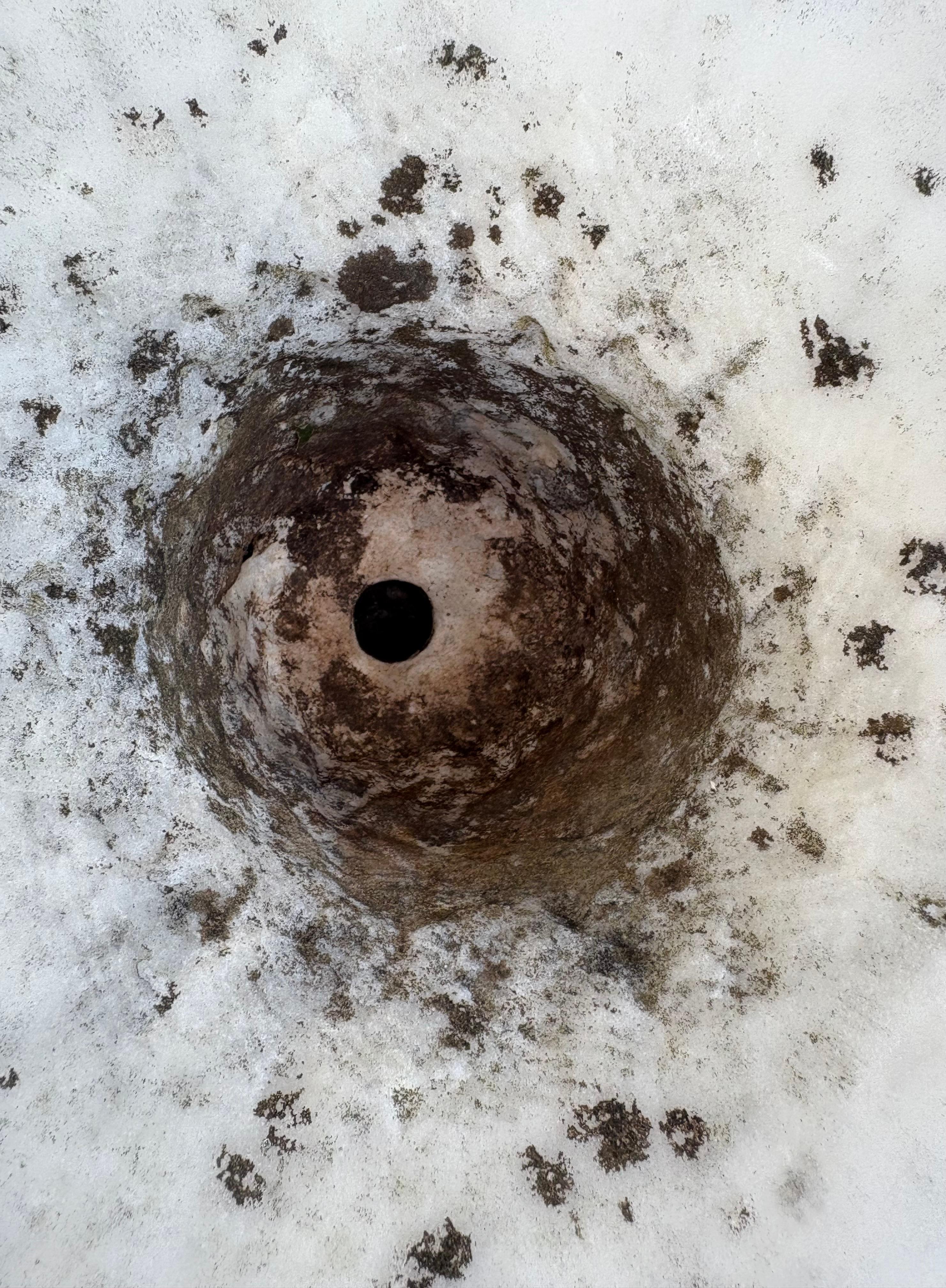Pair of Medicean Vases in Carrara Marble 17th century period For Sale 9