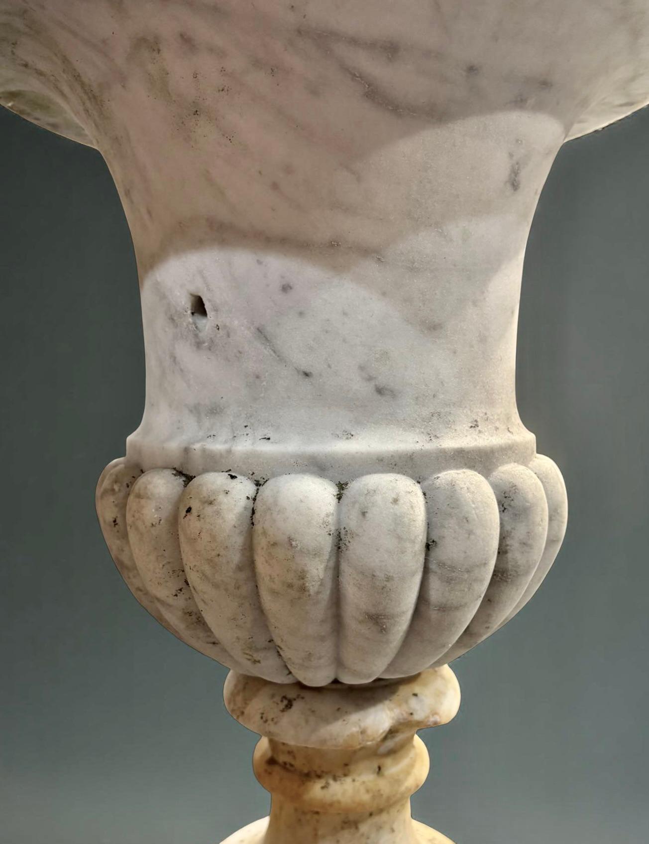 Renaissance Pair of Medicean Vases in Carrara Marble 17th century period For Sale