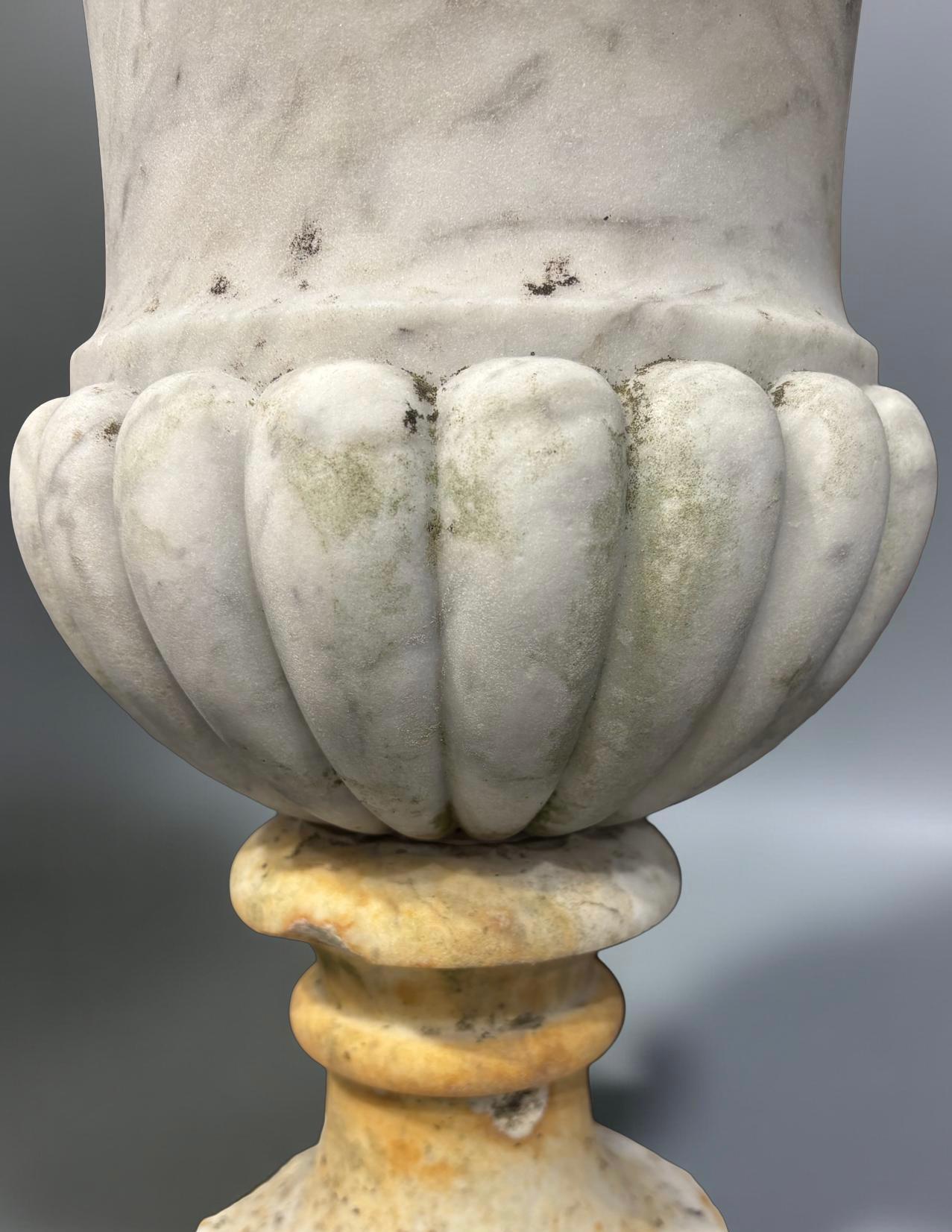 18th Century and Earlier Pair of Medicean Vases in Carrara Marble 17th century period For Sale