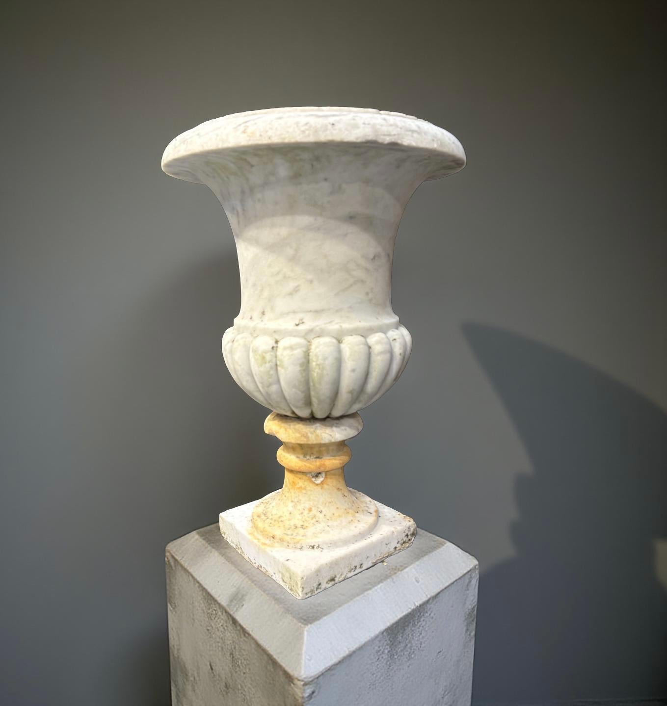 Pair of Medicean Vases in Carrara Marble 17th century period For Sale 1