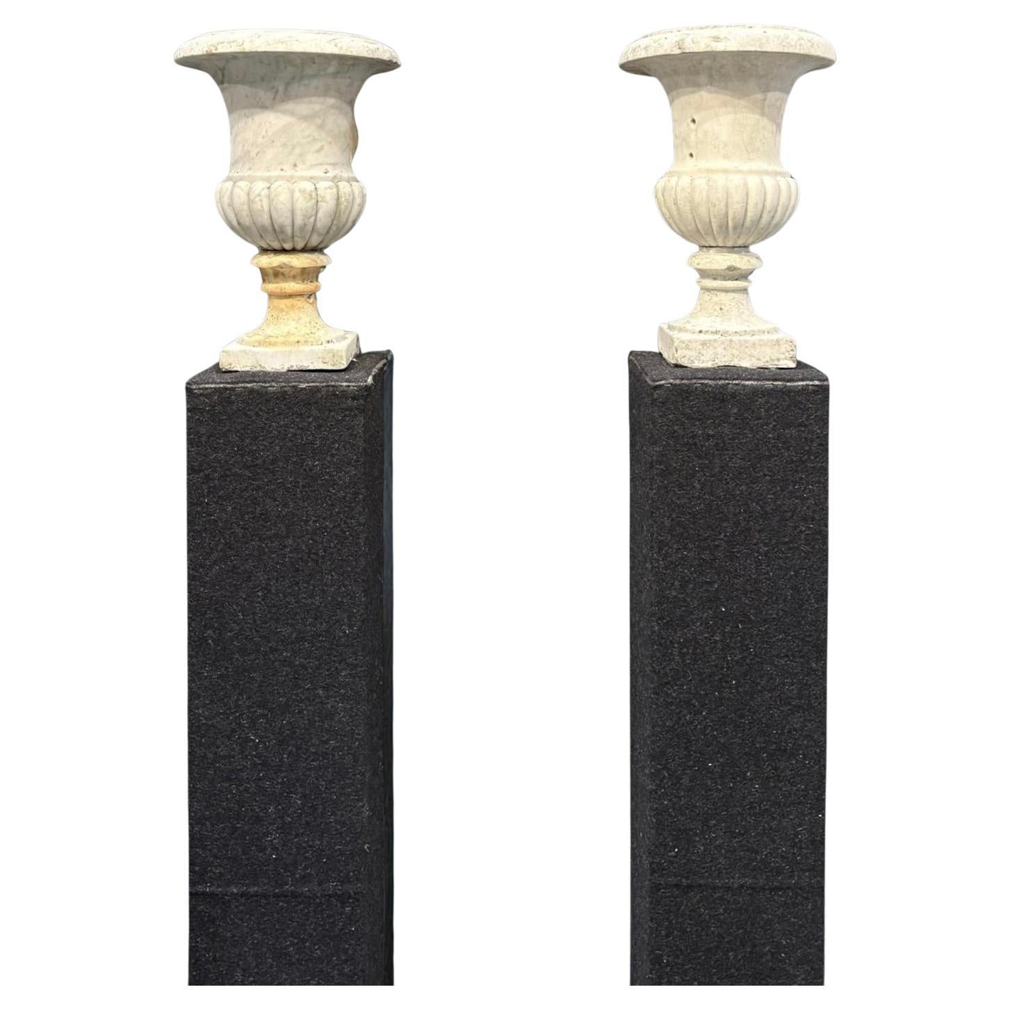 Pair of Medicean Vases in Carrara Marble 17th century period