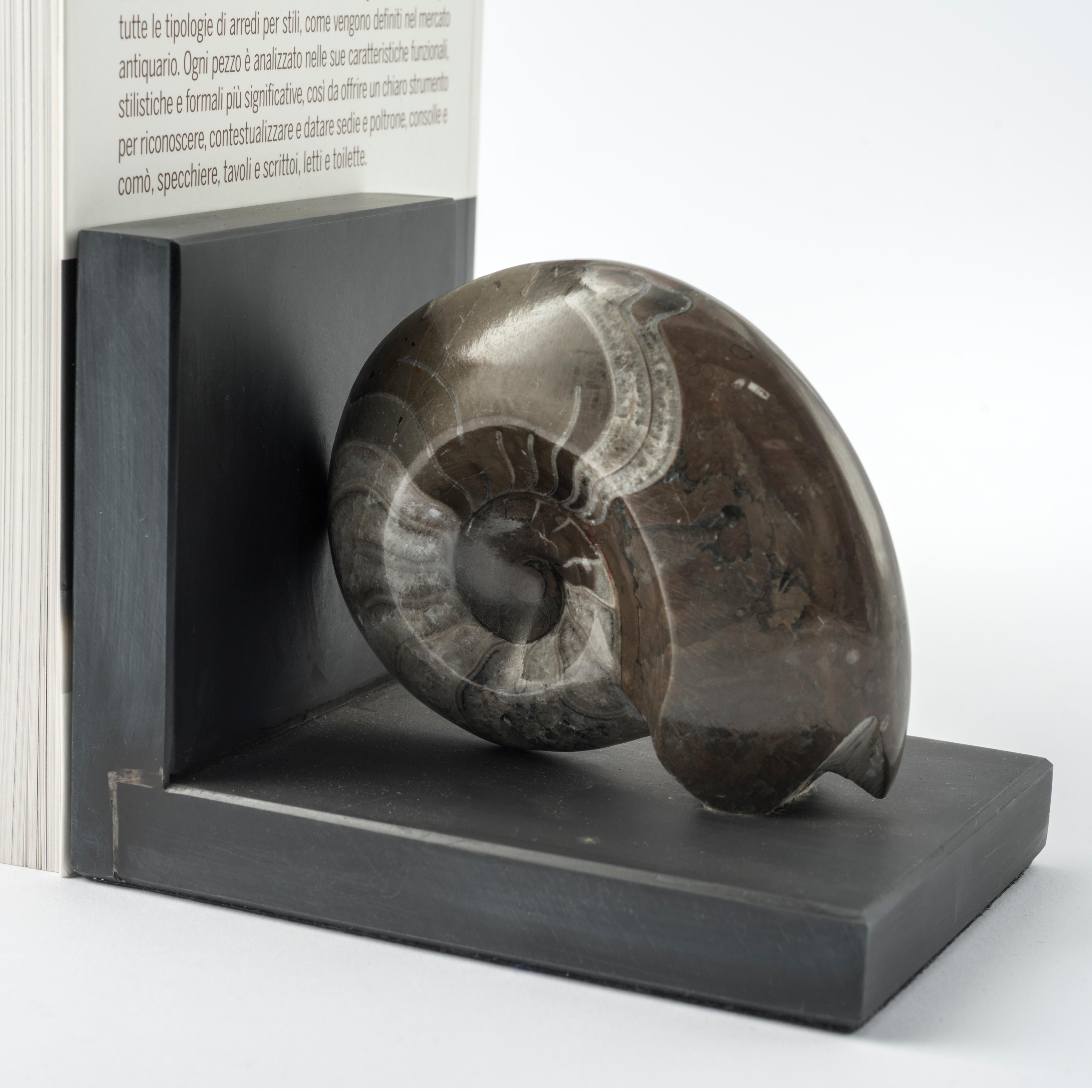 Paire de serre-livres avec d'authentiques ammonites fossiles - Design exclusif en vente 3