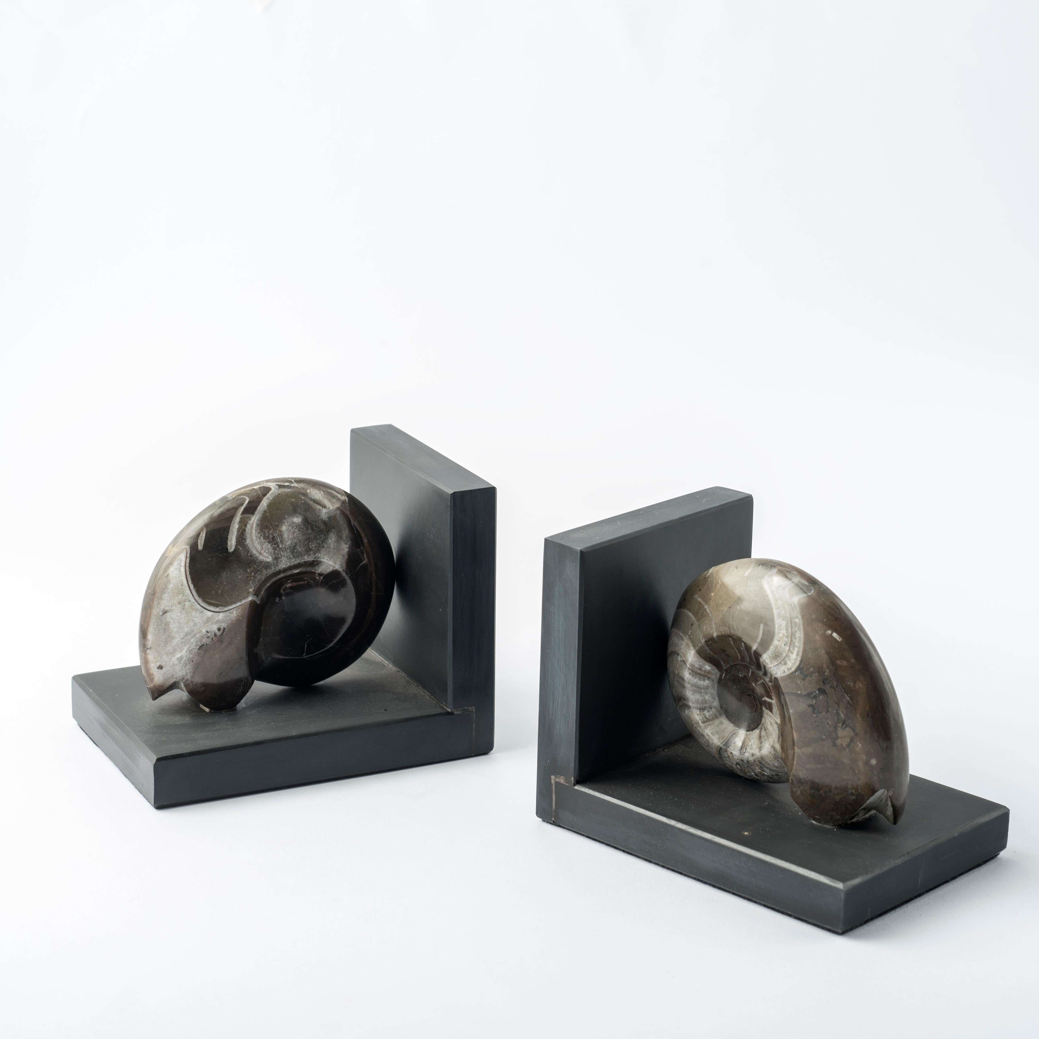 Moderne Paire de serre-livres avec d'authentiques ammonites fossiles - Design exclusif en vente