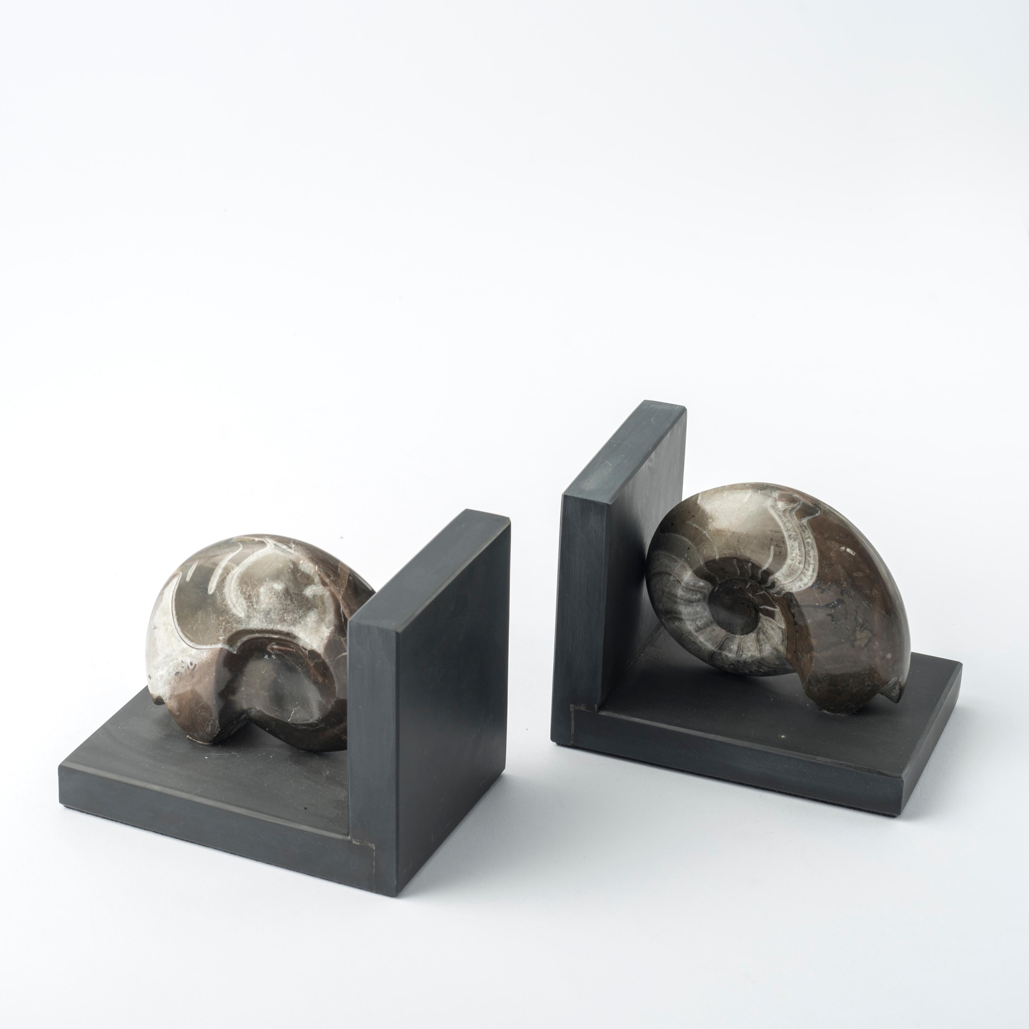 Paire de serre-livres avec d'authentiques ammonites fossiles - Design exclusif Neuf - En vente à Spilimbergo, IT