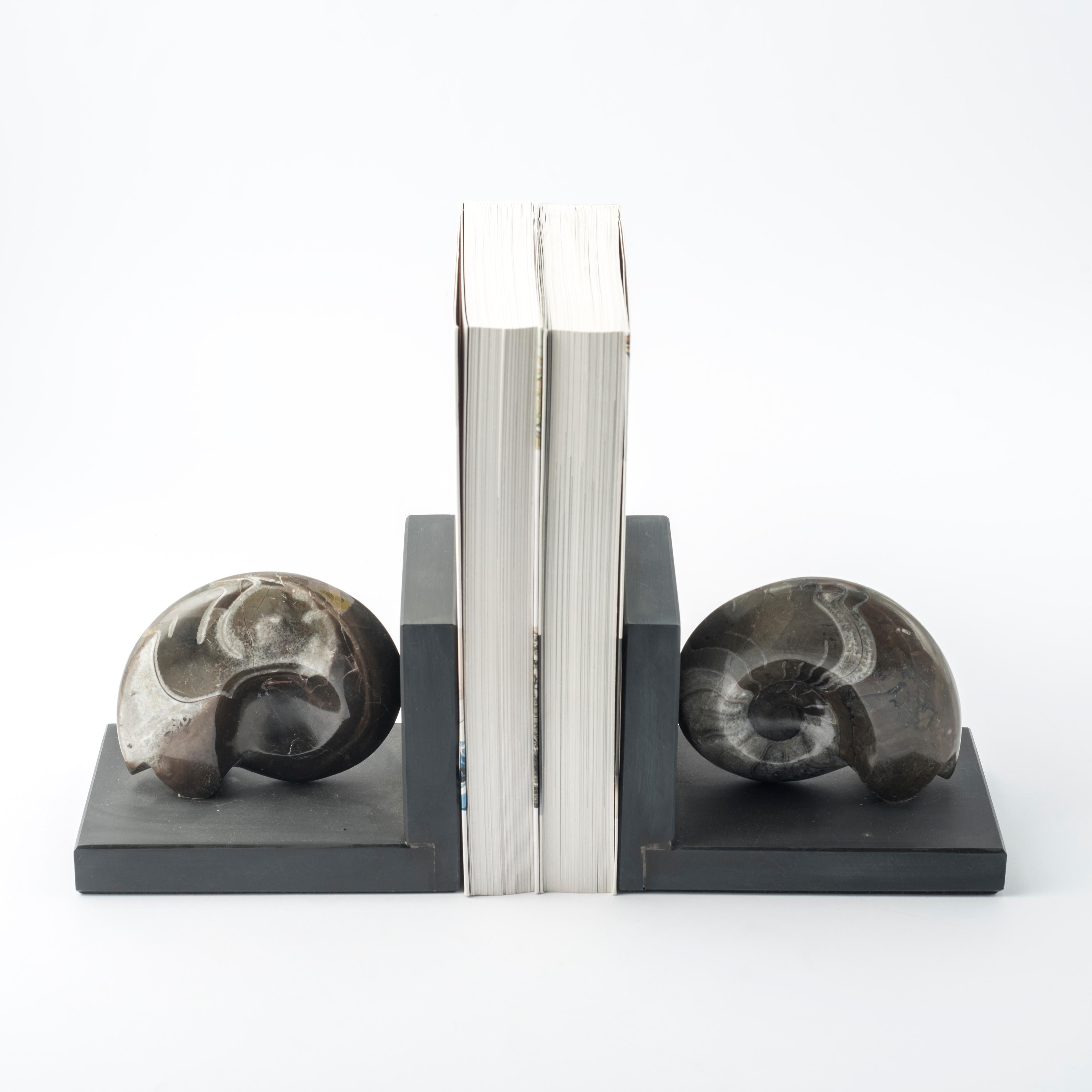 Coquillage Paire de serre-livres avec d'authentiques ammonites fossiles - Design exclusif en vente