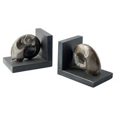 Pair of Bookends with Authentic Fossil Ammonites - Exclusive Design
