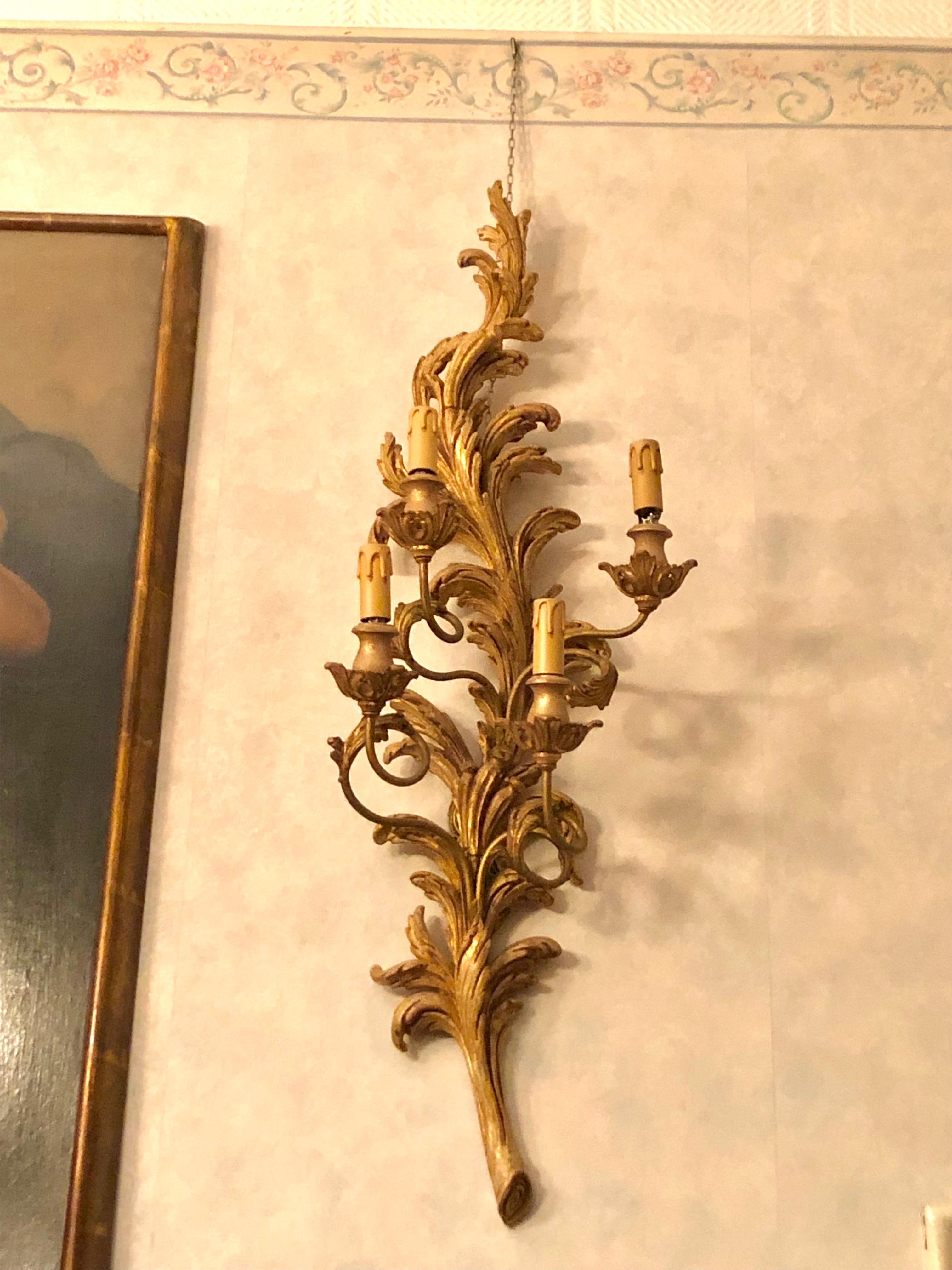 Paire de grandes appliques murales italiennes de style Louis XV, florentines en bois sculpté avec des motifs végétaux rocaille et dorés. Quatre bras courbés avec quatre lumières disposées sur des pousses façonnées d'une hauteur de 106 cm  décoré de 