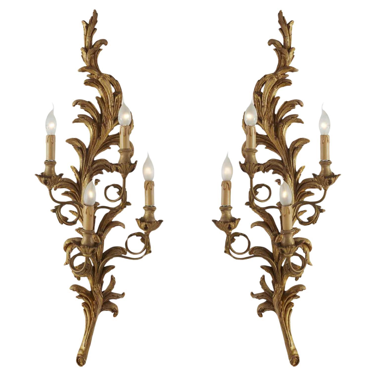 Coppia Grandi Appliques Fiorentine Intaglio Rocaille Luigi XV Legno Dorato 1990 For Sale