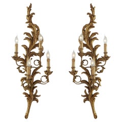 Coppia Grandi Appliques Fiorentine Intaglio Rocaille Luigi XV Legno Dorato 1990