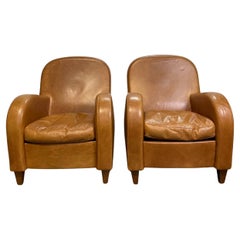 Coppia poltroncine daisy poltrona frau