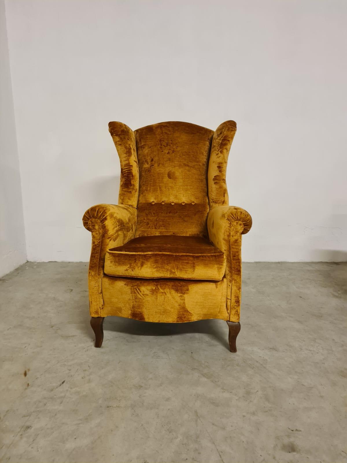 Velvet Coppia poltrone bergere For Sale