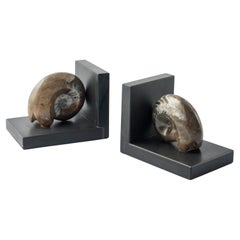 Paire de serre-livres avec d'authentiques ammonites fossiles - Design exclusif
