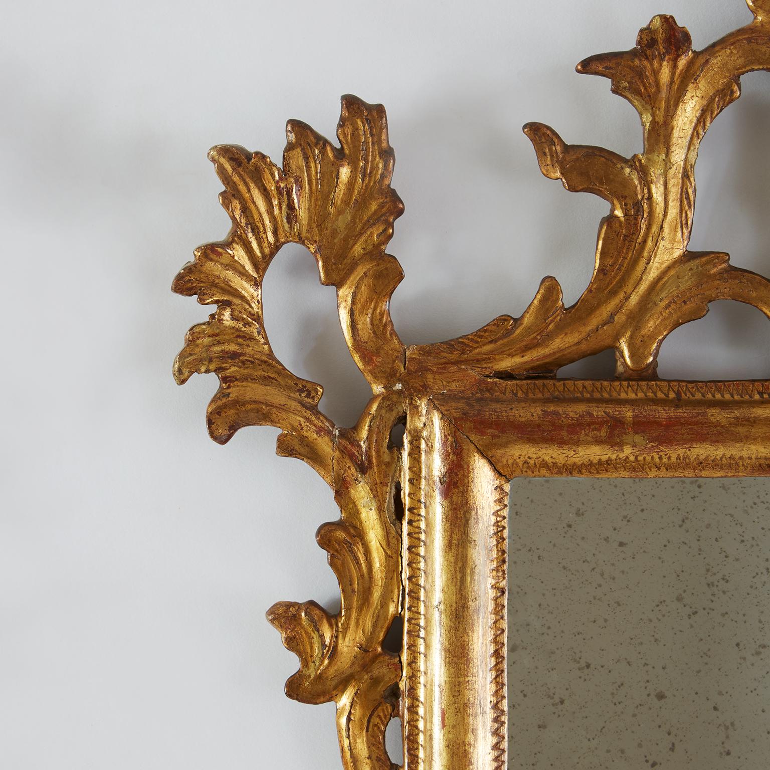Louis XVI Coppia Specchi Italiani Dorati in Stile Luigi XVI Intagliati con Uccelli 1800s For Sale